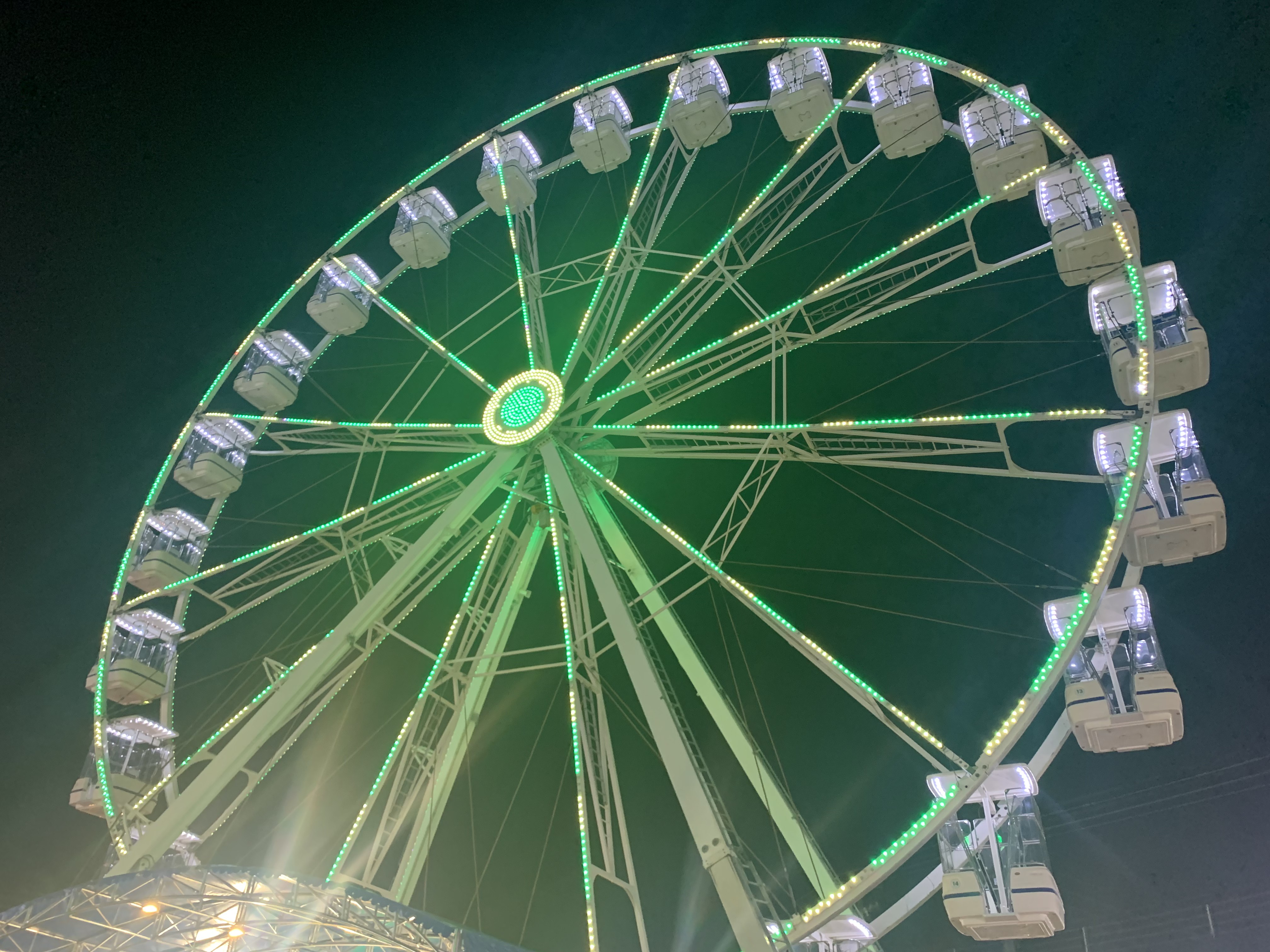 Roda gigante disponível na Expo. Neste brinquedo o ingresso é R$ 20,00.