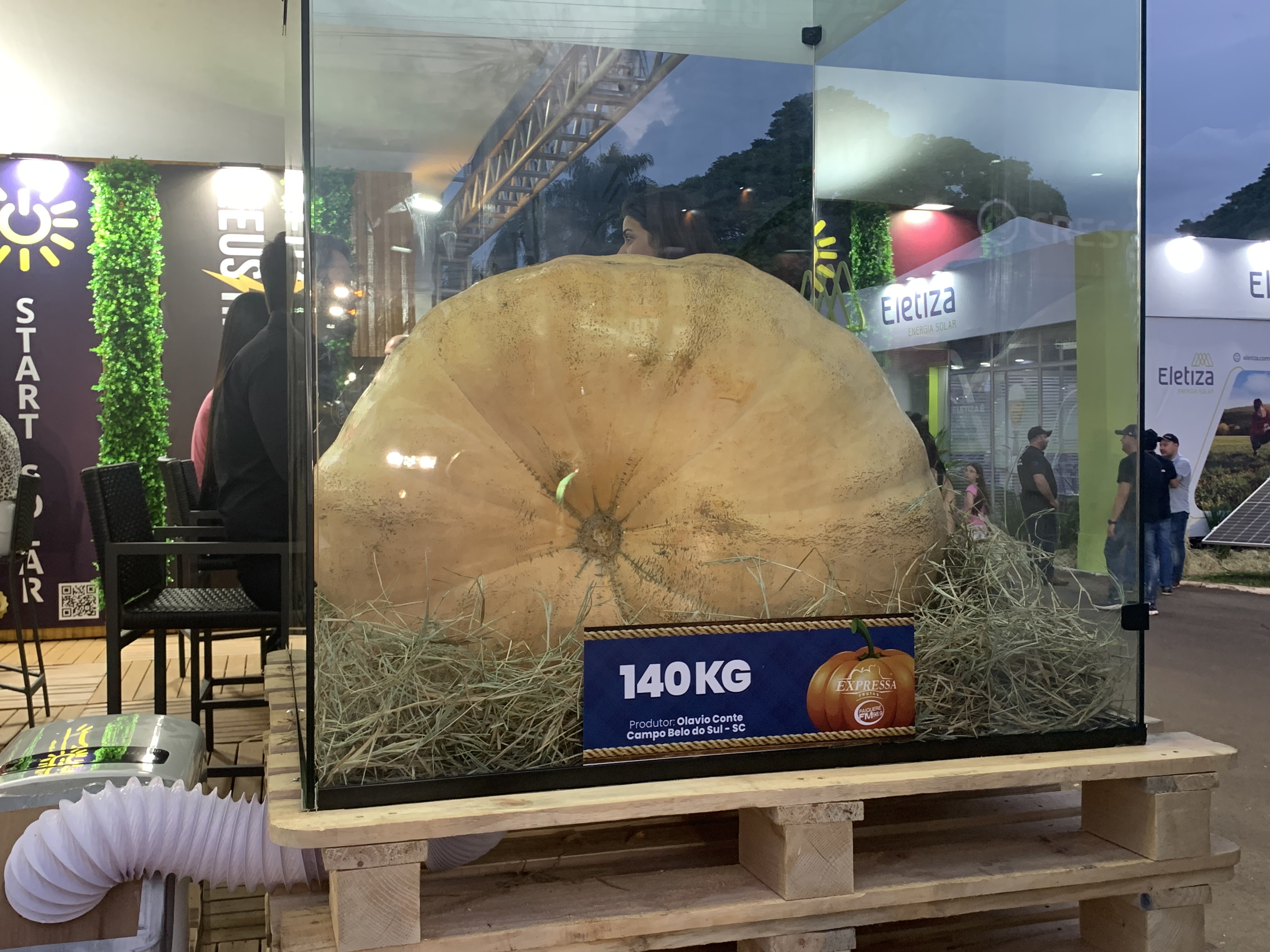 Abóbora de 140 KG exposta em stand.