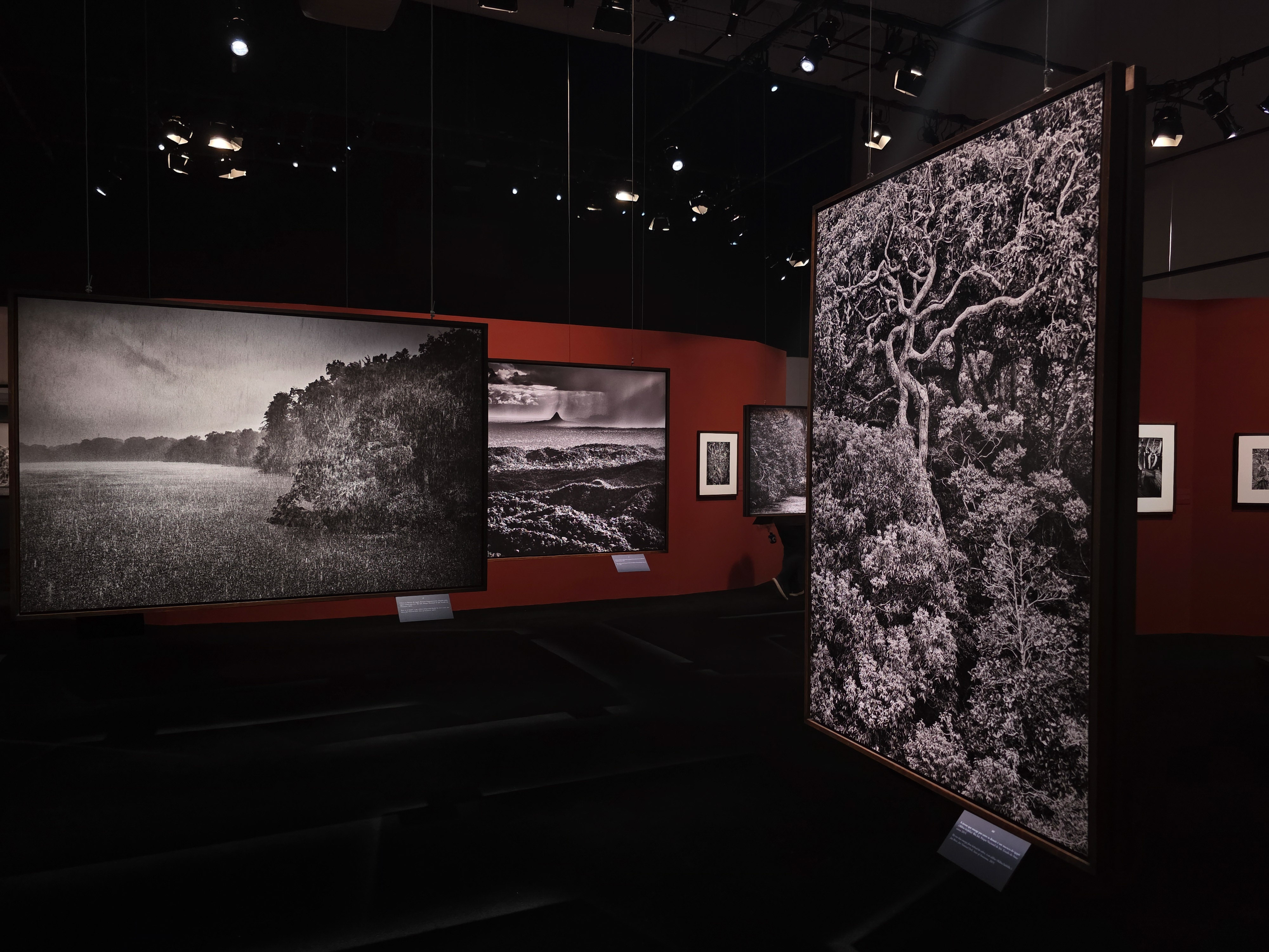Exposição Amazônia de Sebastião Salgado no Cais das Artes