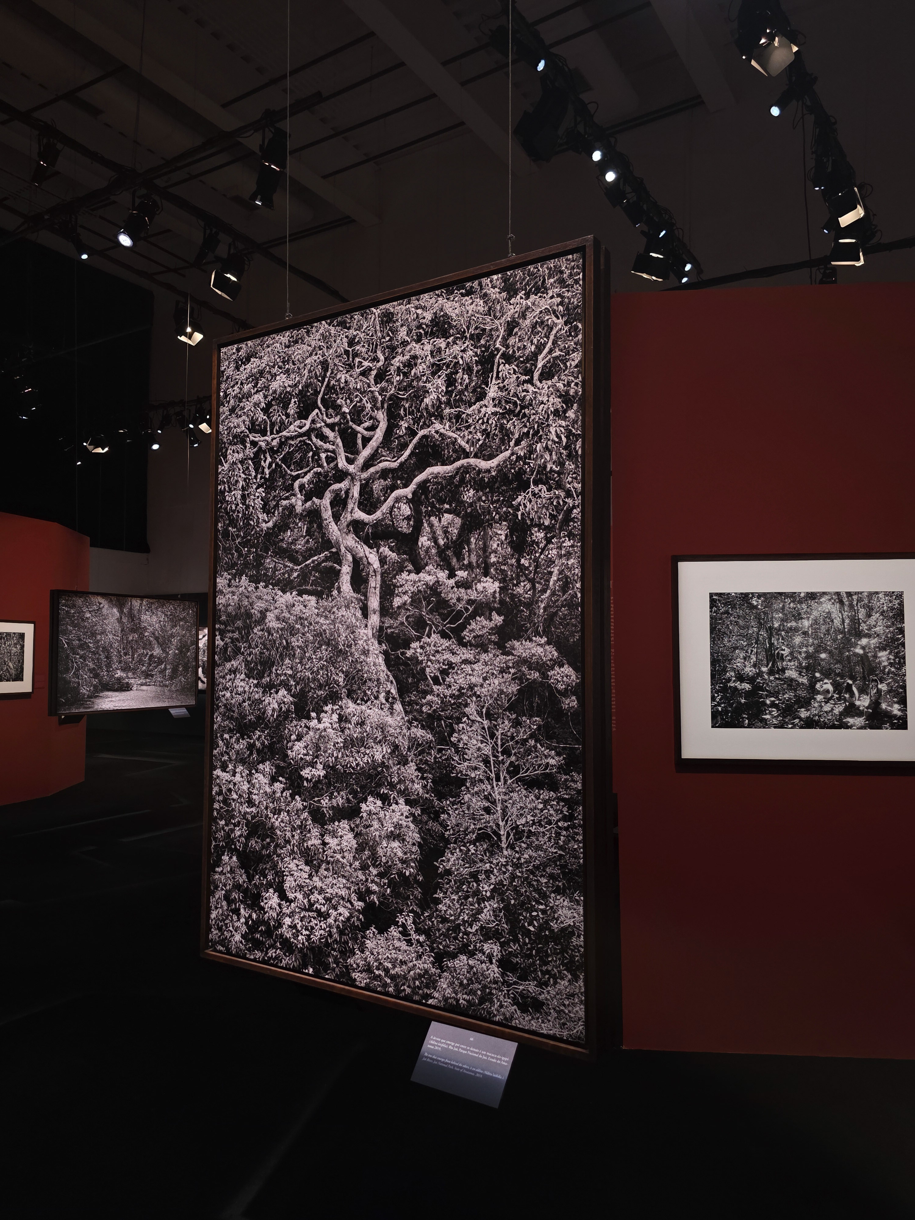 Exposição Amazônia de Sebastião Salgado no Cais das Artes