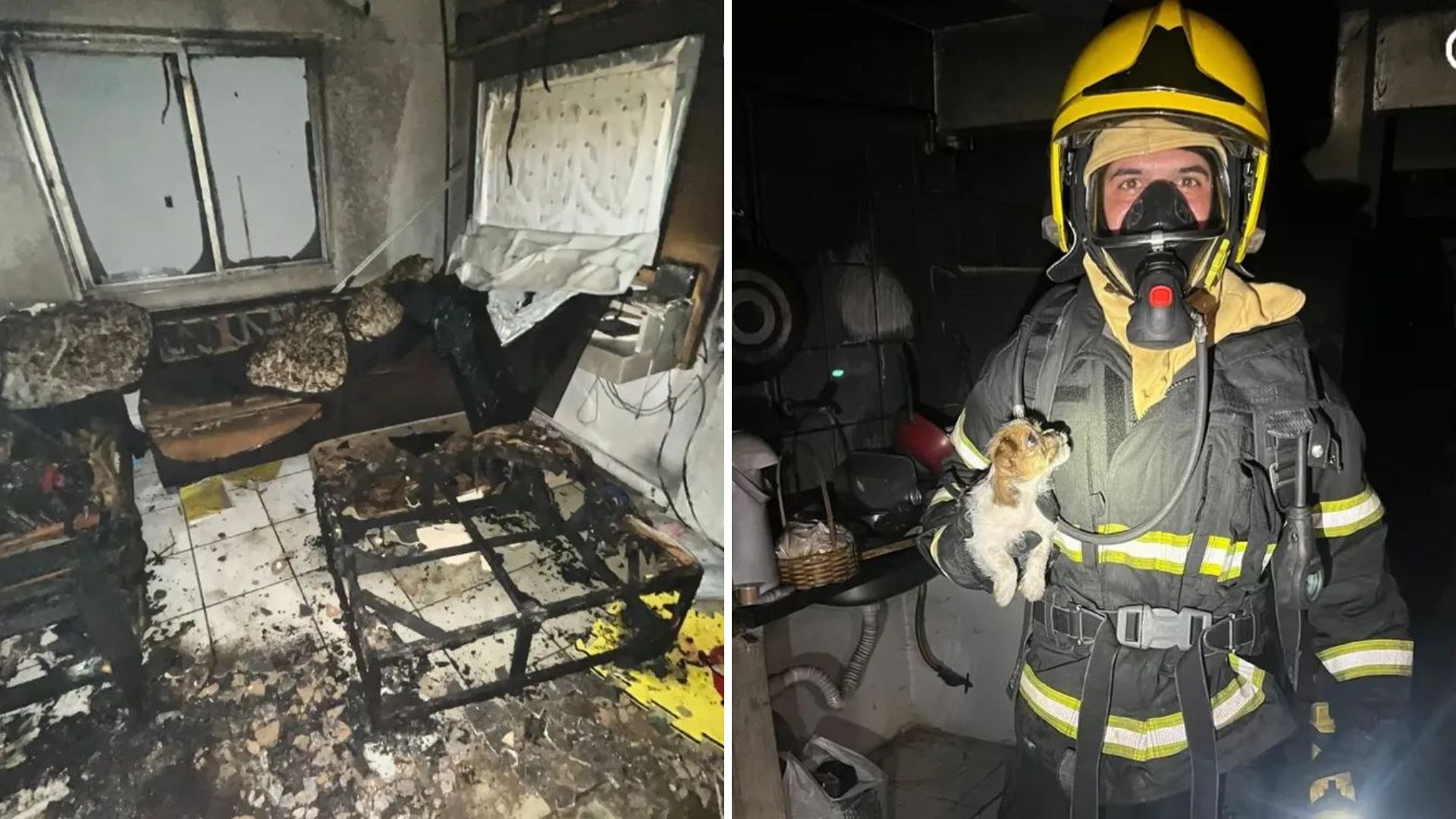 Homem e crianças foram resgatados sem queimaduras. Cachorro também foi salvo pelos bombeiros