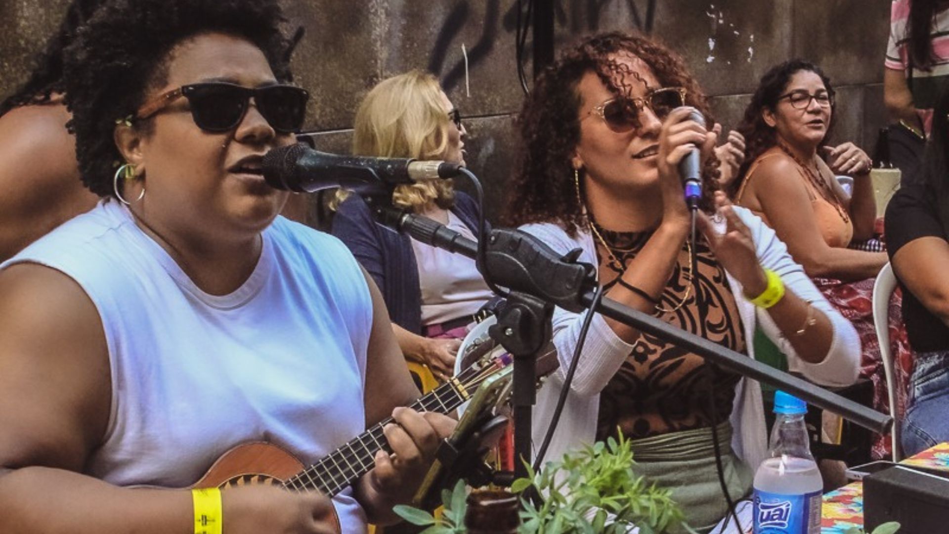 Mulheres do Samba farão show no Festival dos Golfinhos