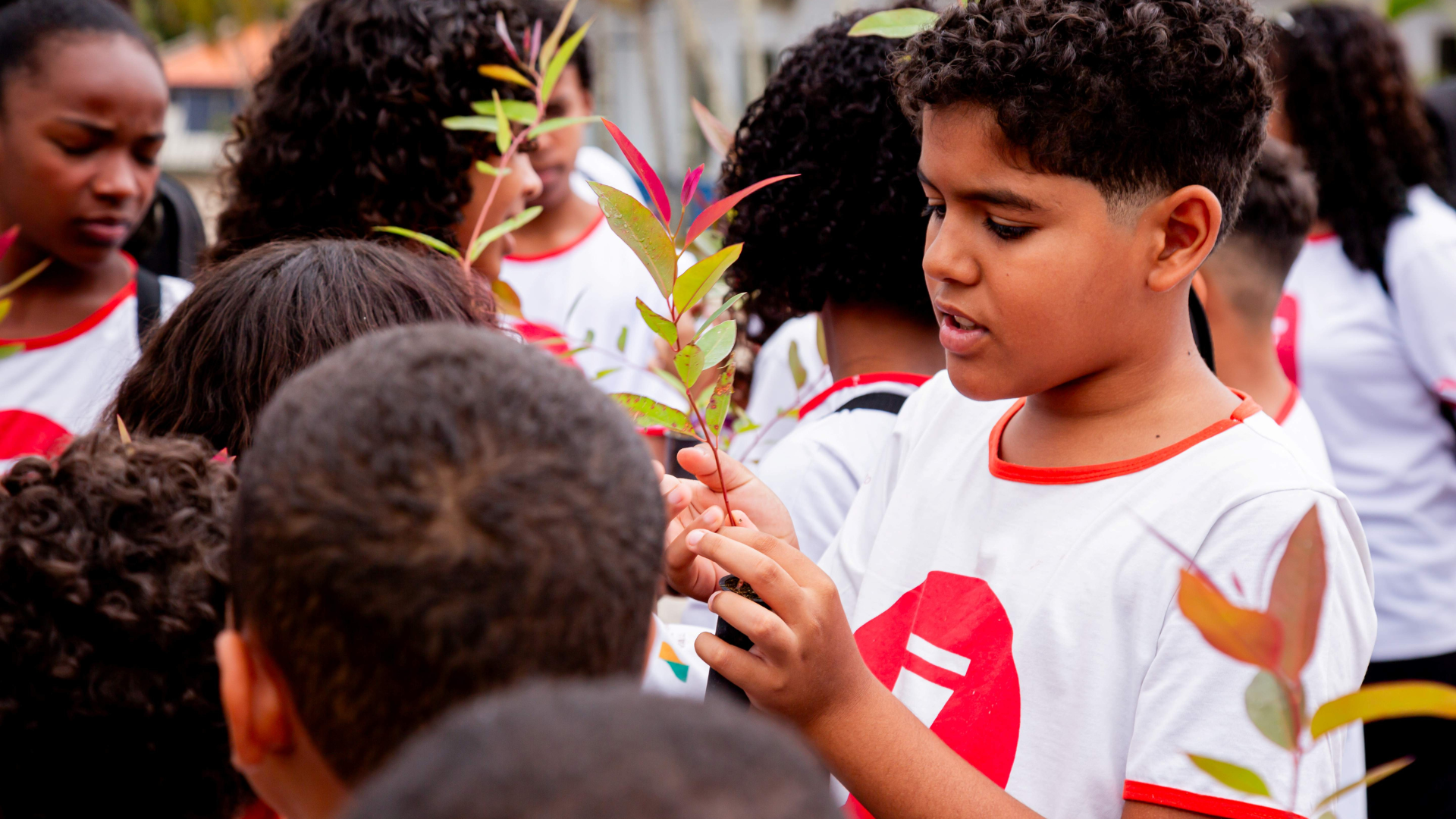 Escola de Artes do Instituto Cultural Tambor de Raiz completa 4 anos