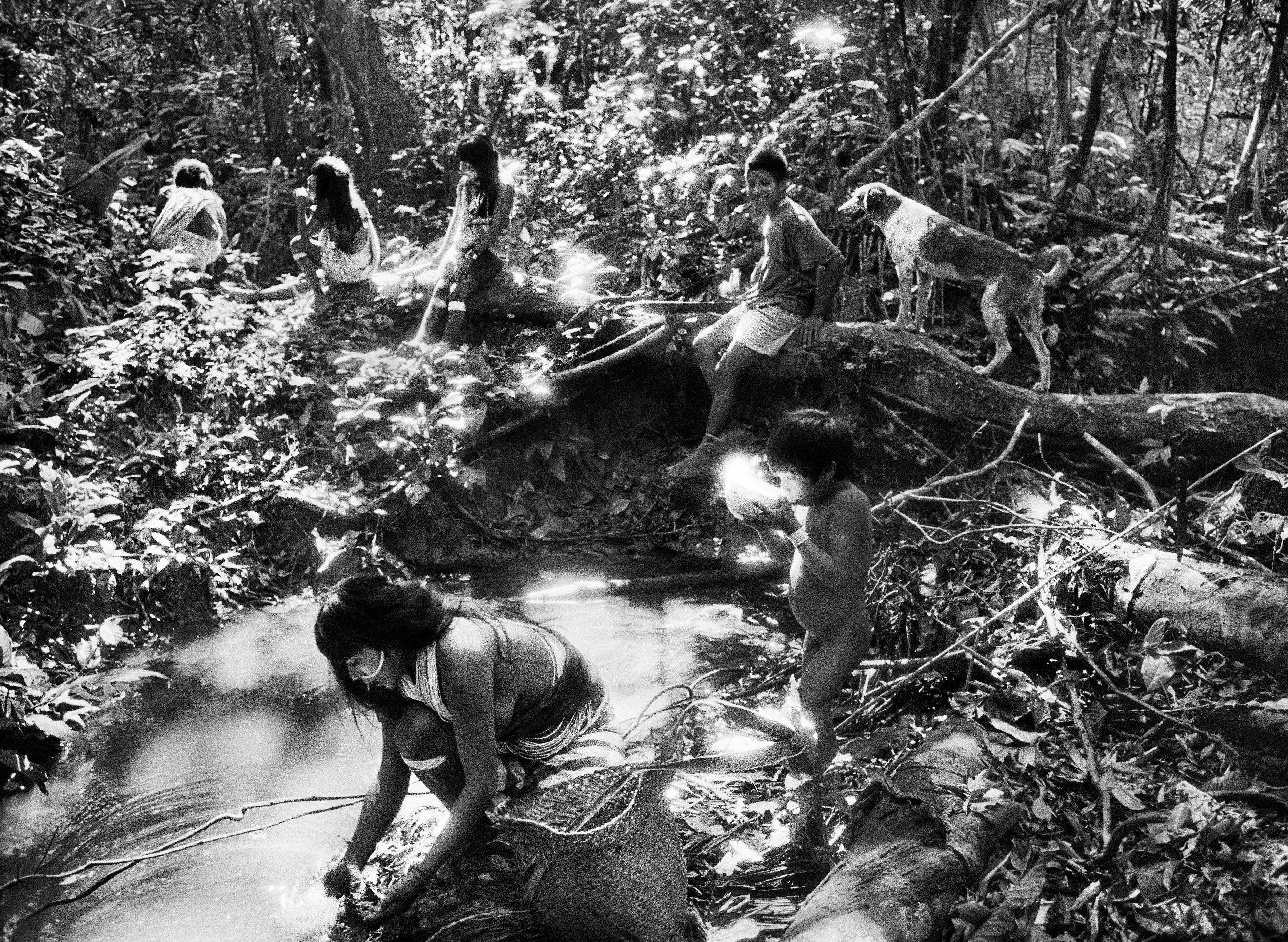 Exposição conta com fotografias que retratam a região Amazônica