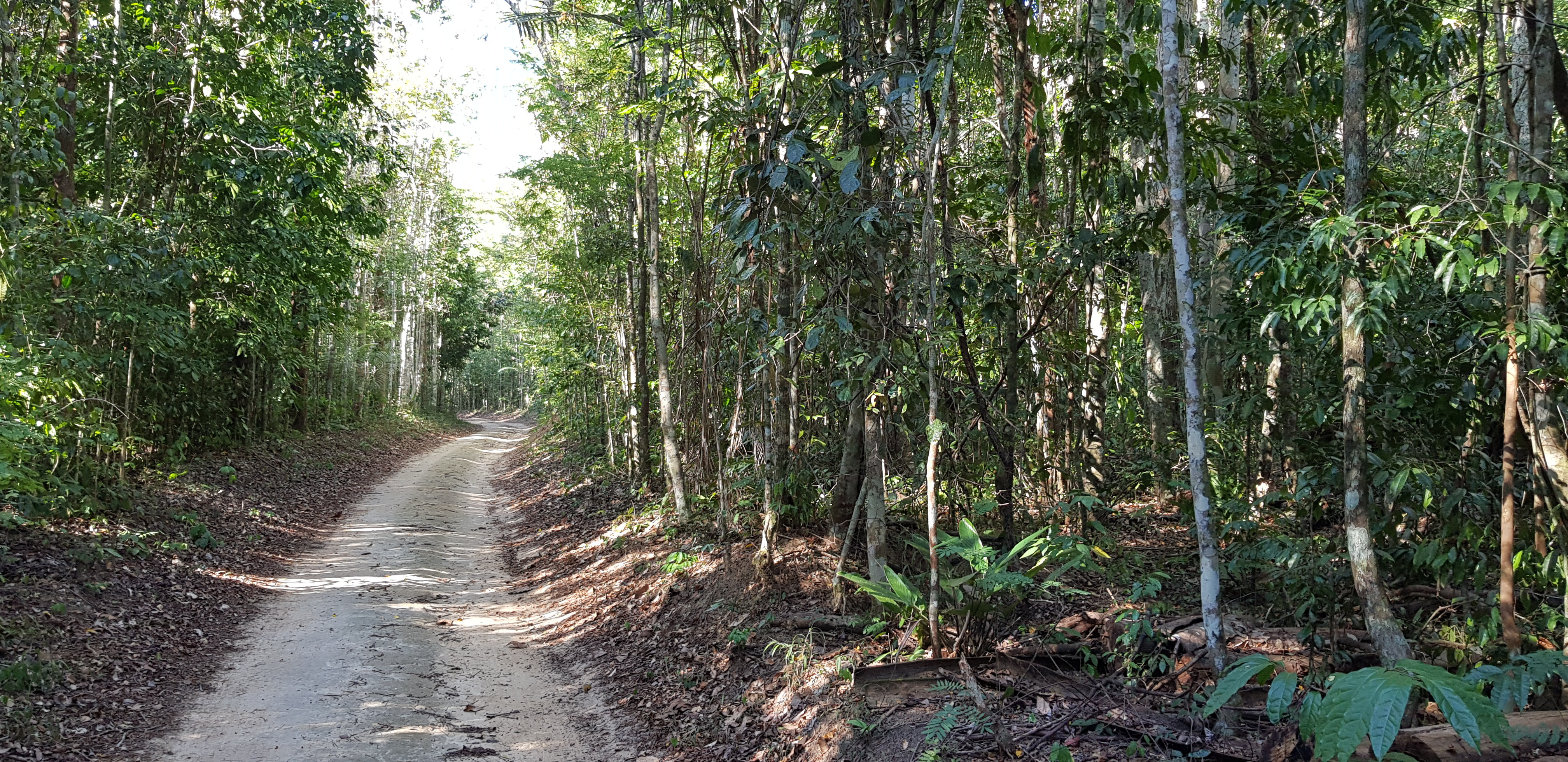 8ª Meia Maratona do Verde e das Águas