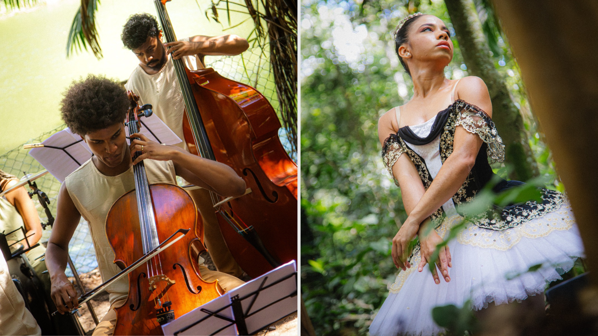 Projeto "Música na Floresta"