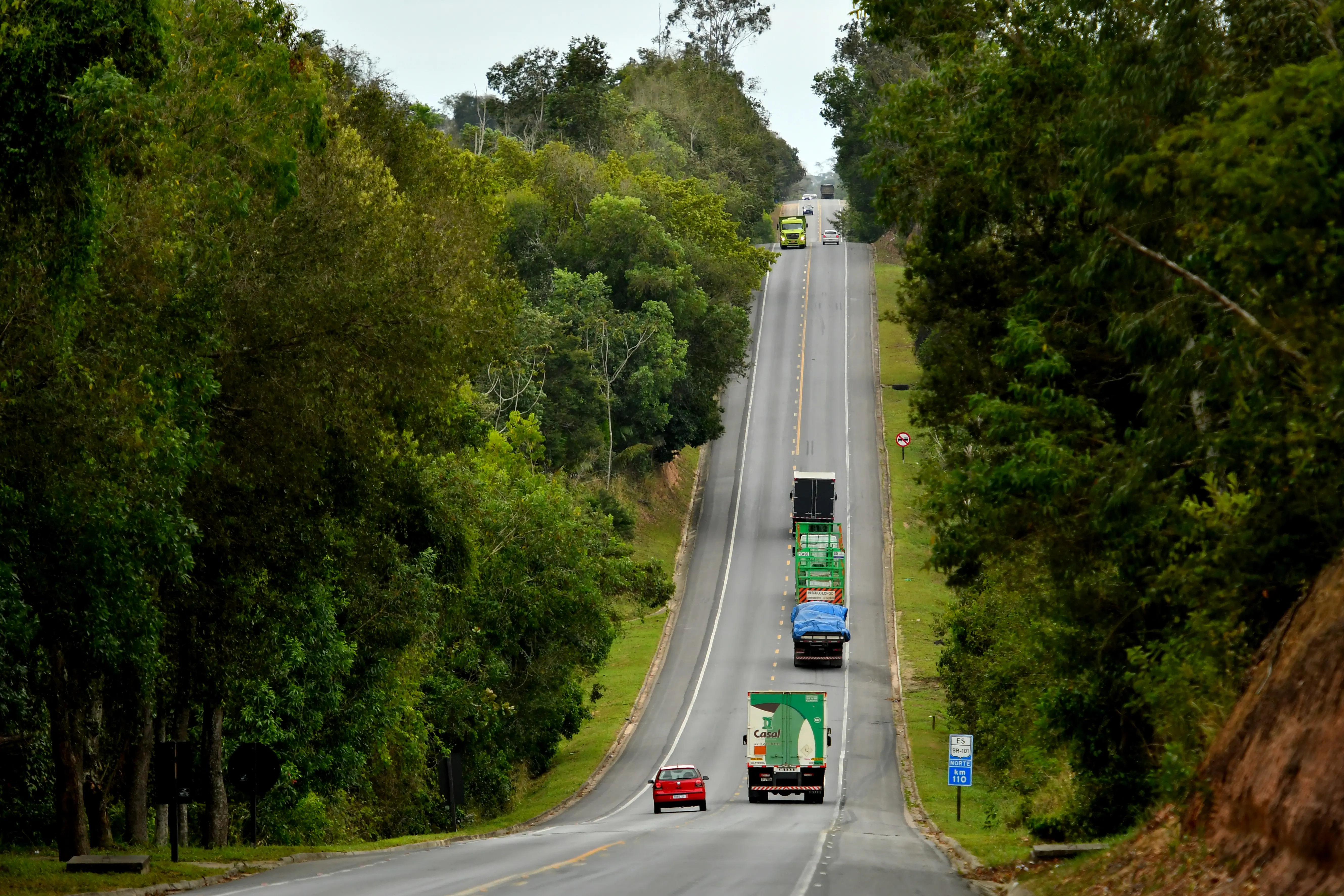 Trecho na BR 101 Norte que corta a Reserva do Sooretama