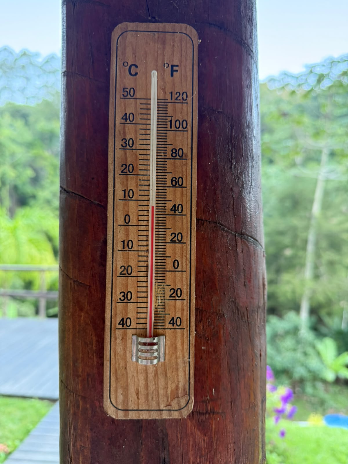 Em São Roque de Maravilha, morador mostra termômetro marcando temperatura abaixo de 9º