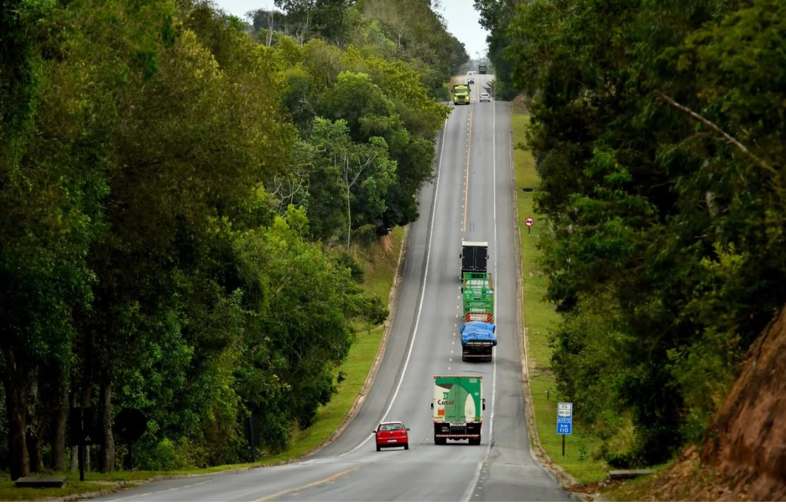 Trecho da BR 101 Norte na reserva de Sooretama