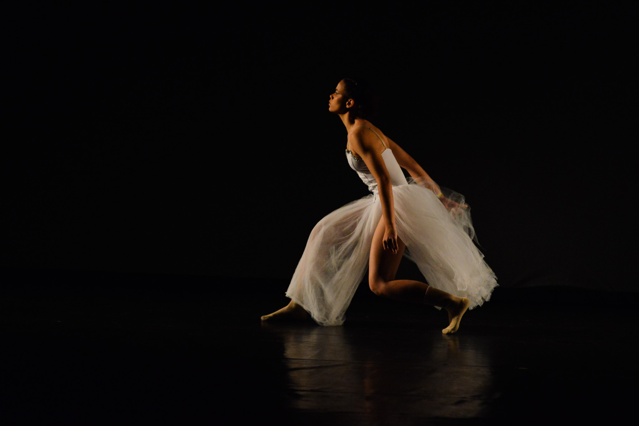 30º Enesdança, festival de dança do ES, no Teatro da Ufes