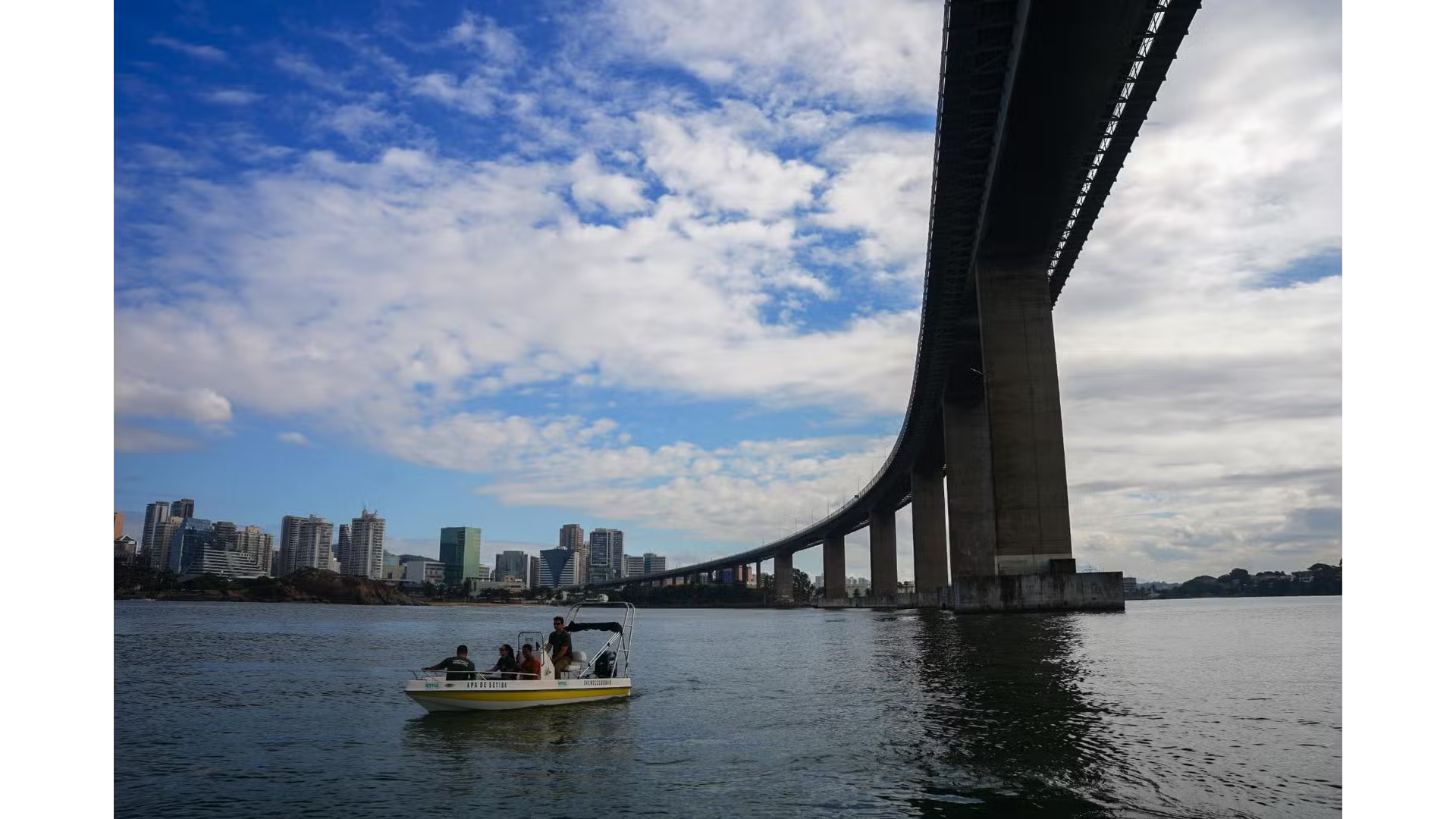 As aves trocaram as ilhas pela ponte, o natural pelo concreto no Espírito Santo