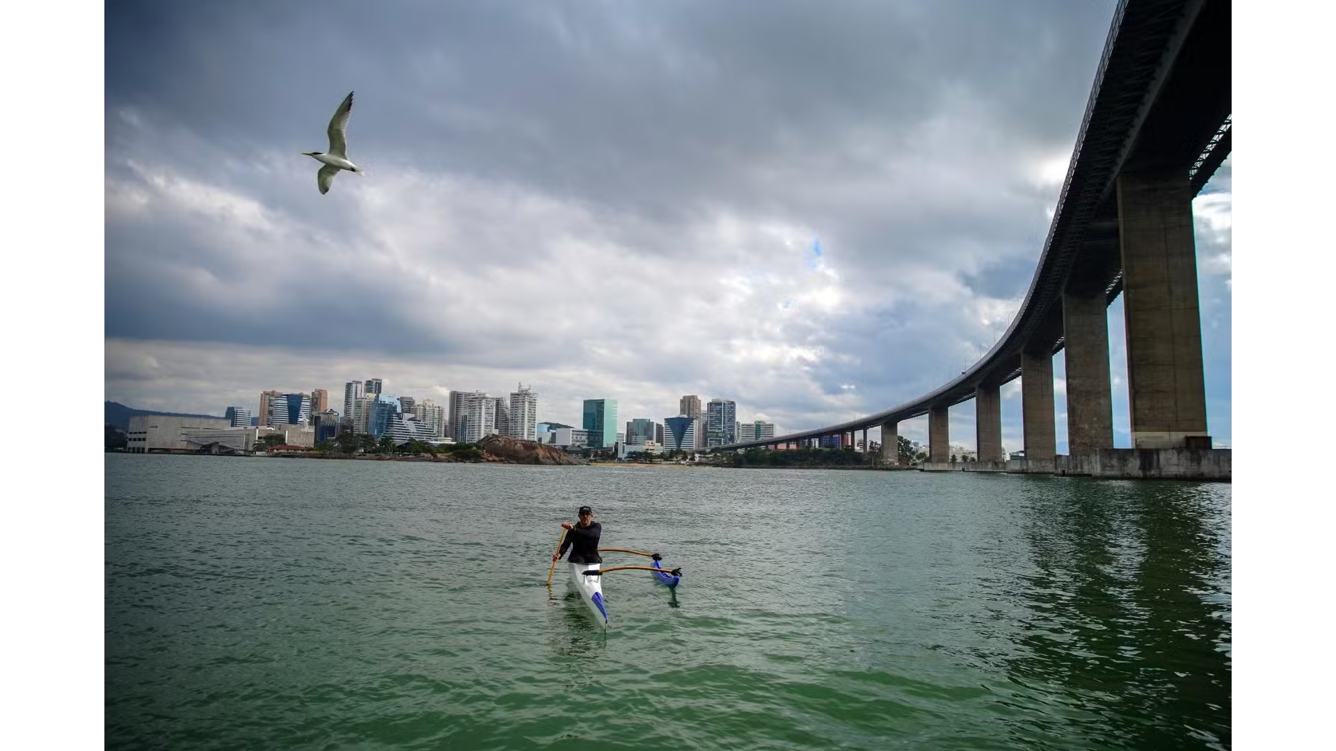 Voluntário ajuda na Terceira Ponte com aves ameaçadas no Espírito Santo