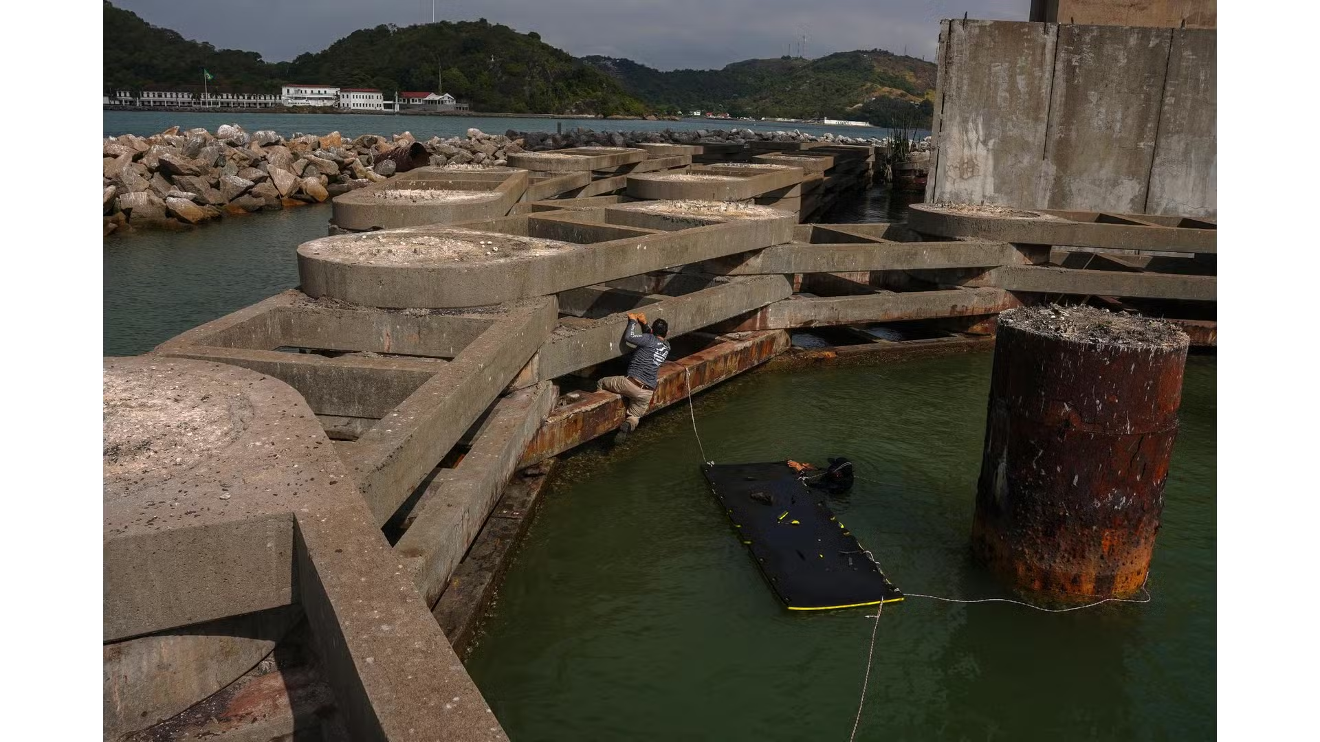 Tapetes de EVA deram uma segunda chance aos filhotes de trinta-réis no Espírito Santo