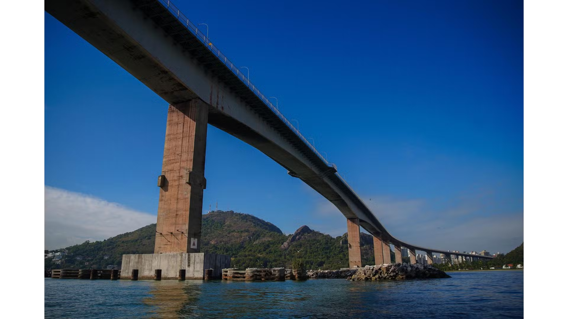 Terceira Ponte vira abrigo para aves ameaçadas de extinção no Espírito Santo