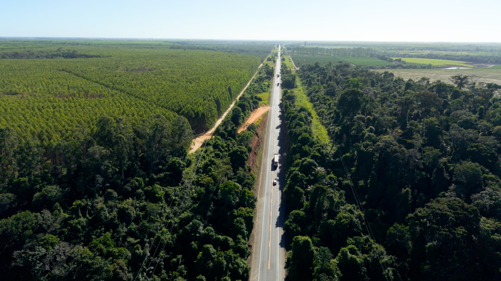 A Reserva Biológica de Sooretama é cortada pela BR 101