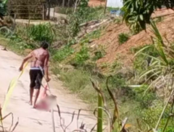 Homem foi filmado arrastando cadela espancada em Dores de Rio Preto