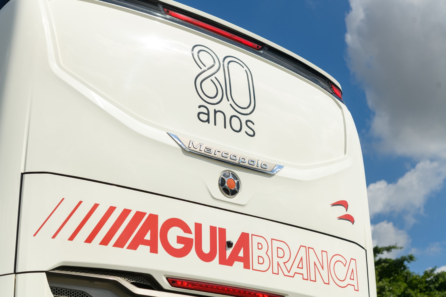 Branded Águia Branca 80 anos