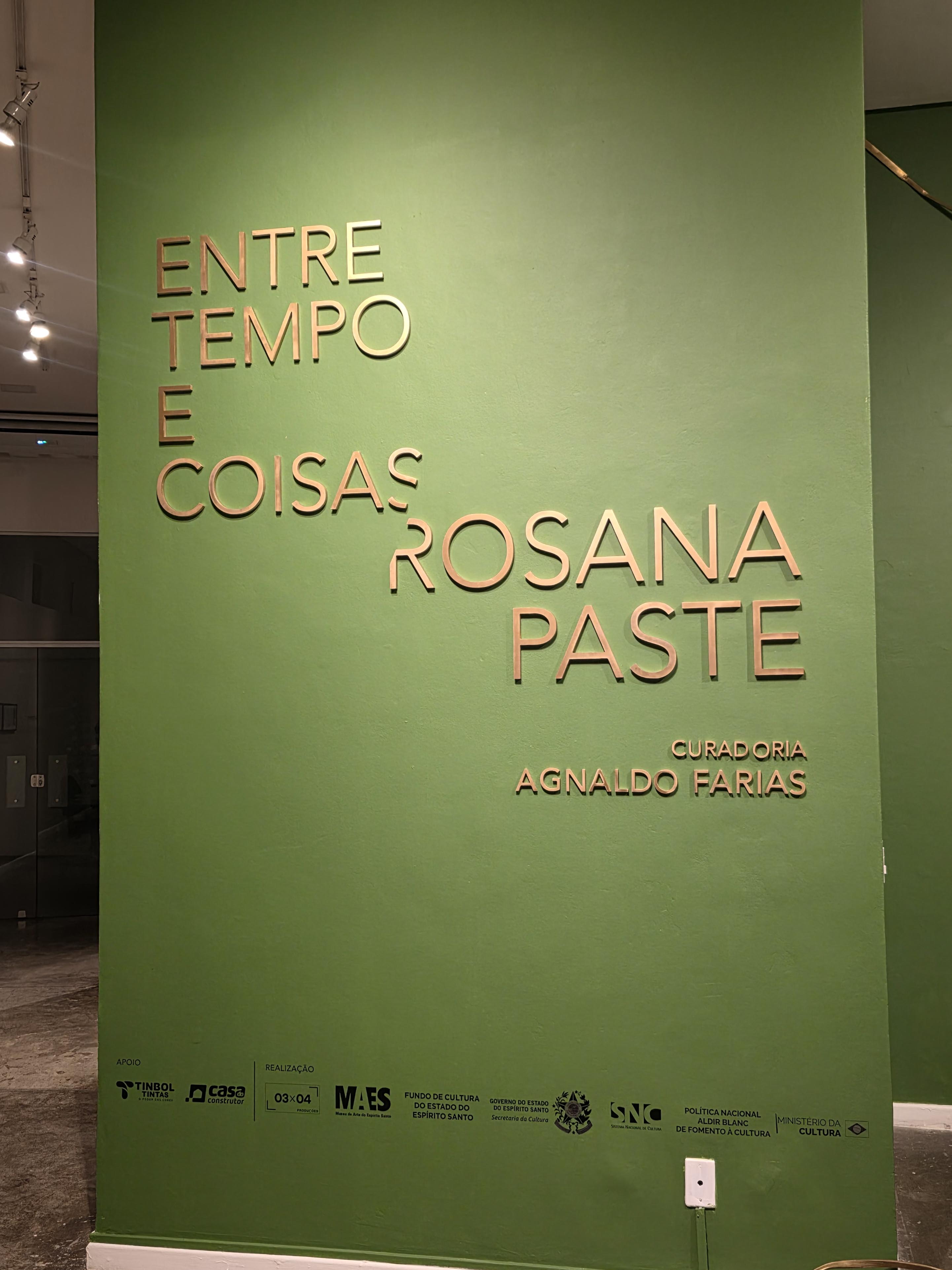 Exposição "Entre tempos e Coisas" de Rosana Paste