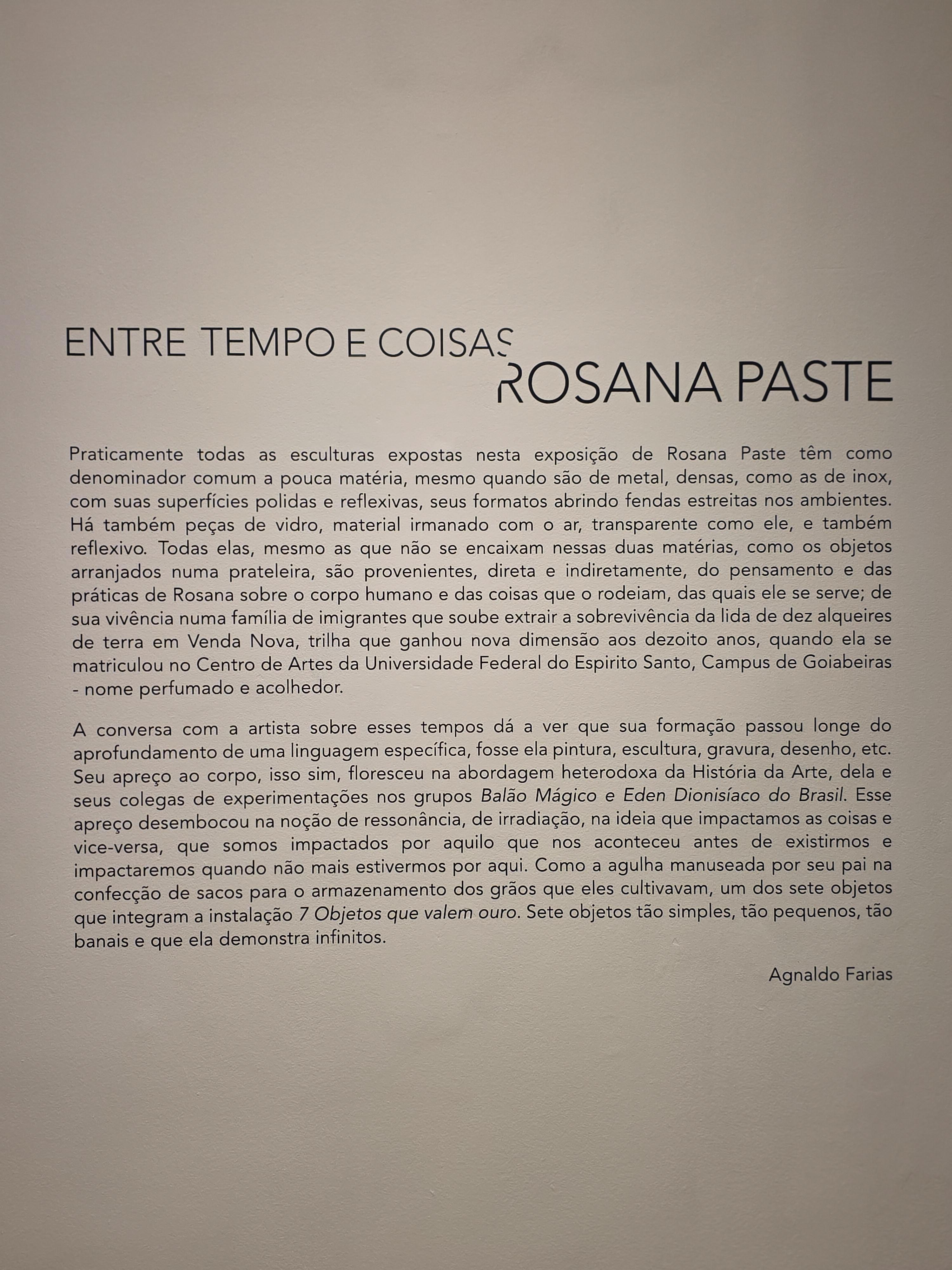 Exposição "Entre tempos e Coisas" de Rosana Paste