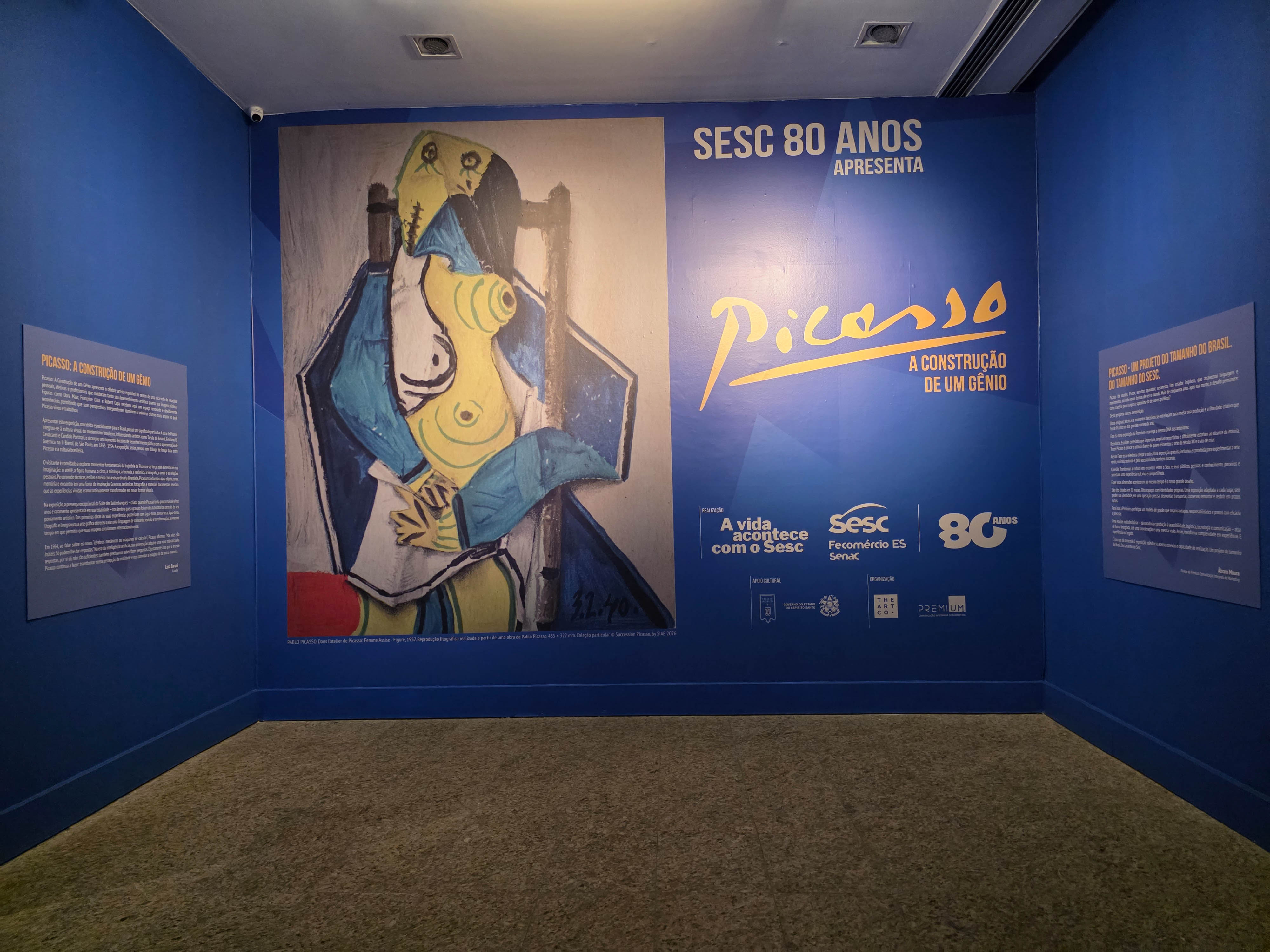 Picasso - A Invenção de um Gênio