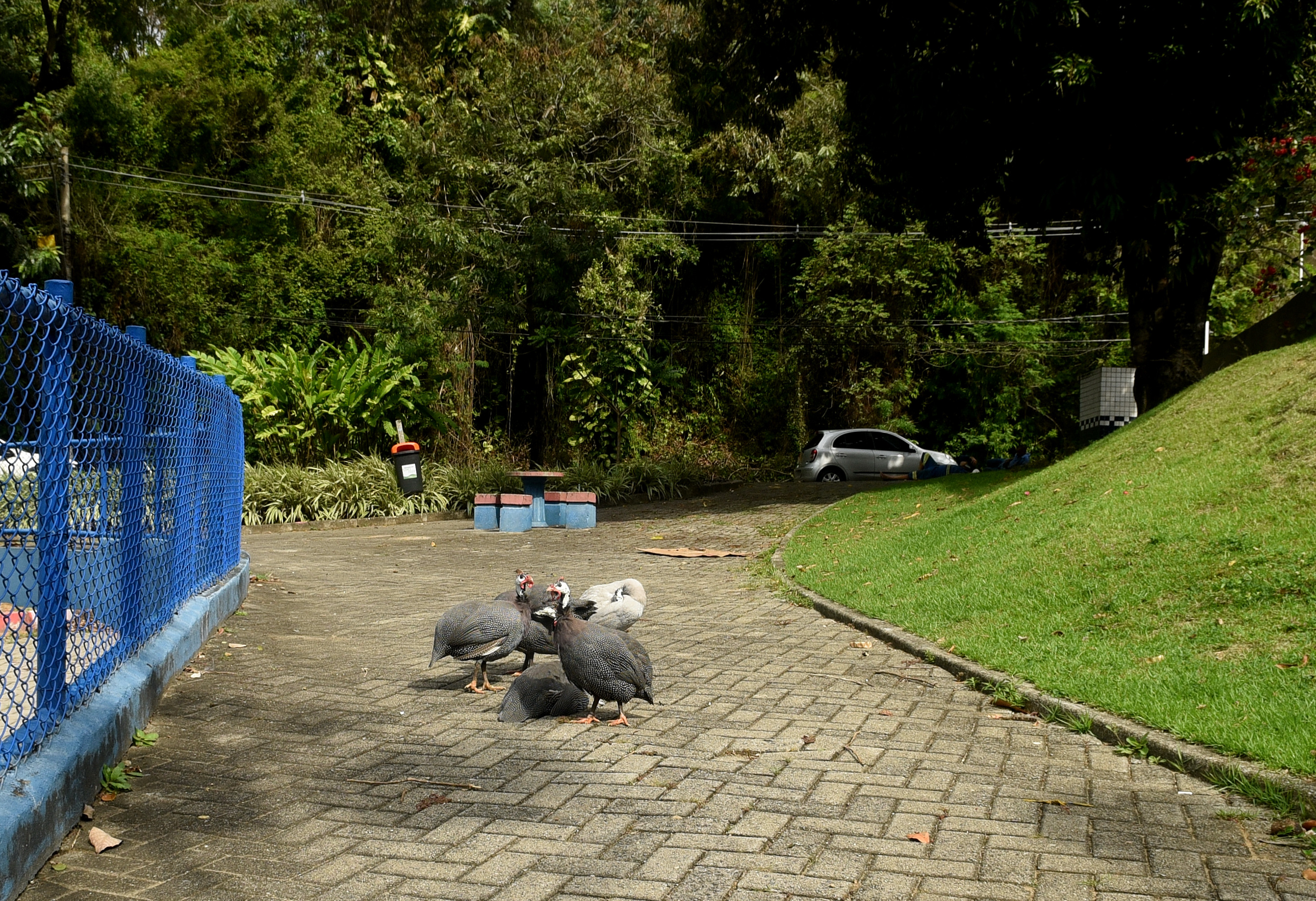 Bairro Fradinhos - Vitória