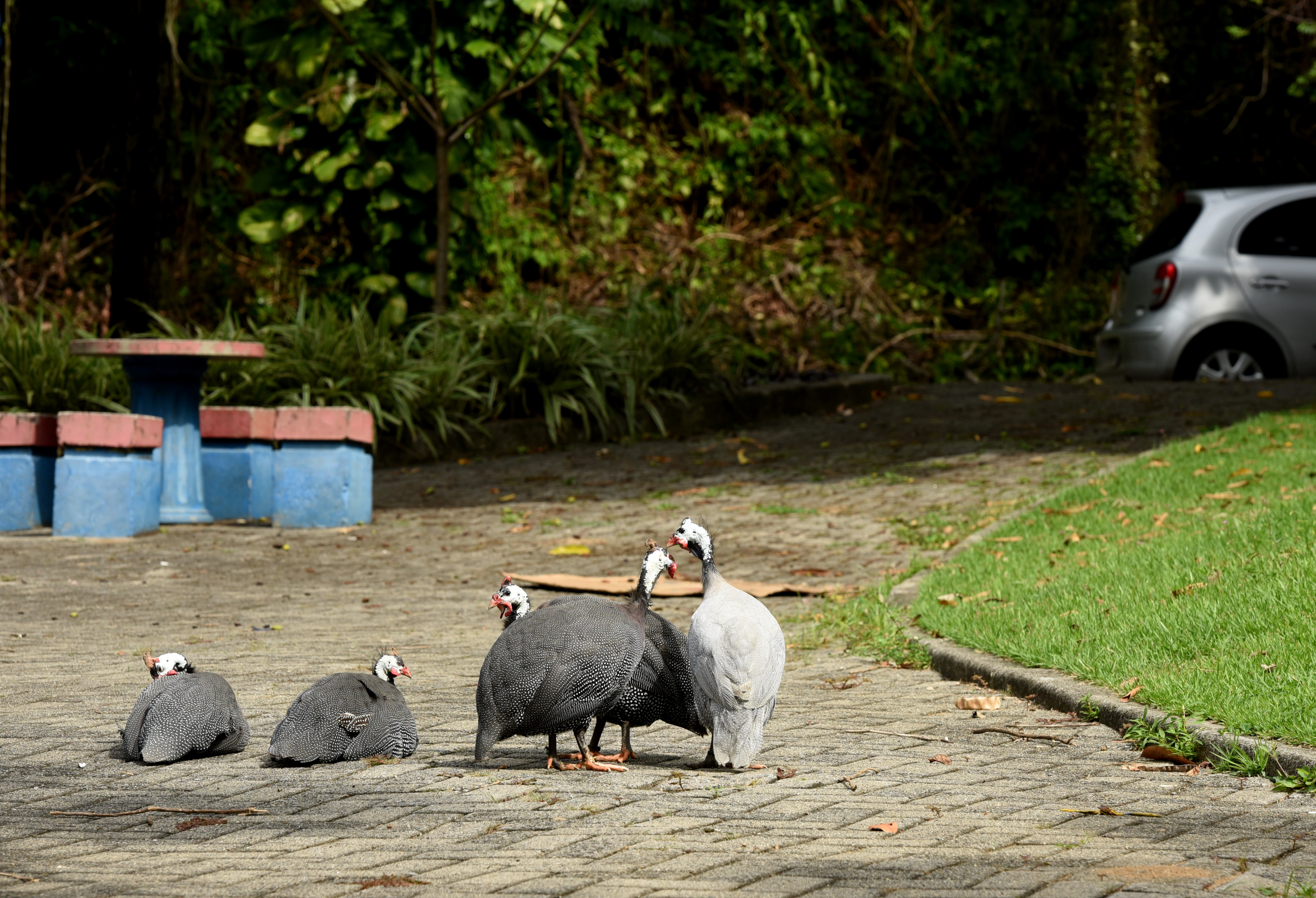 Bairro Fradinhos - Vitória