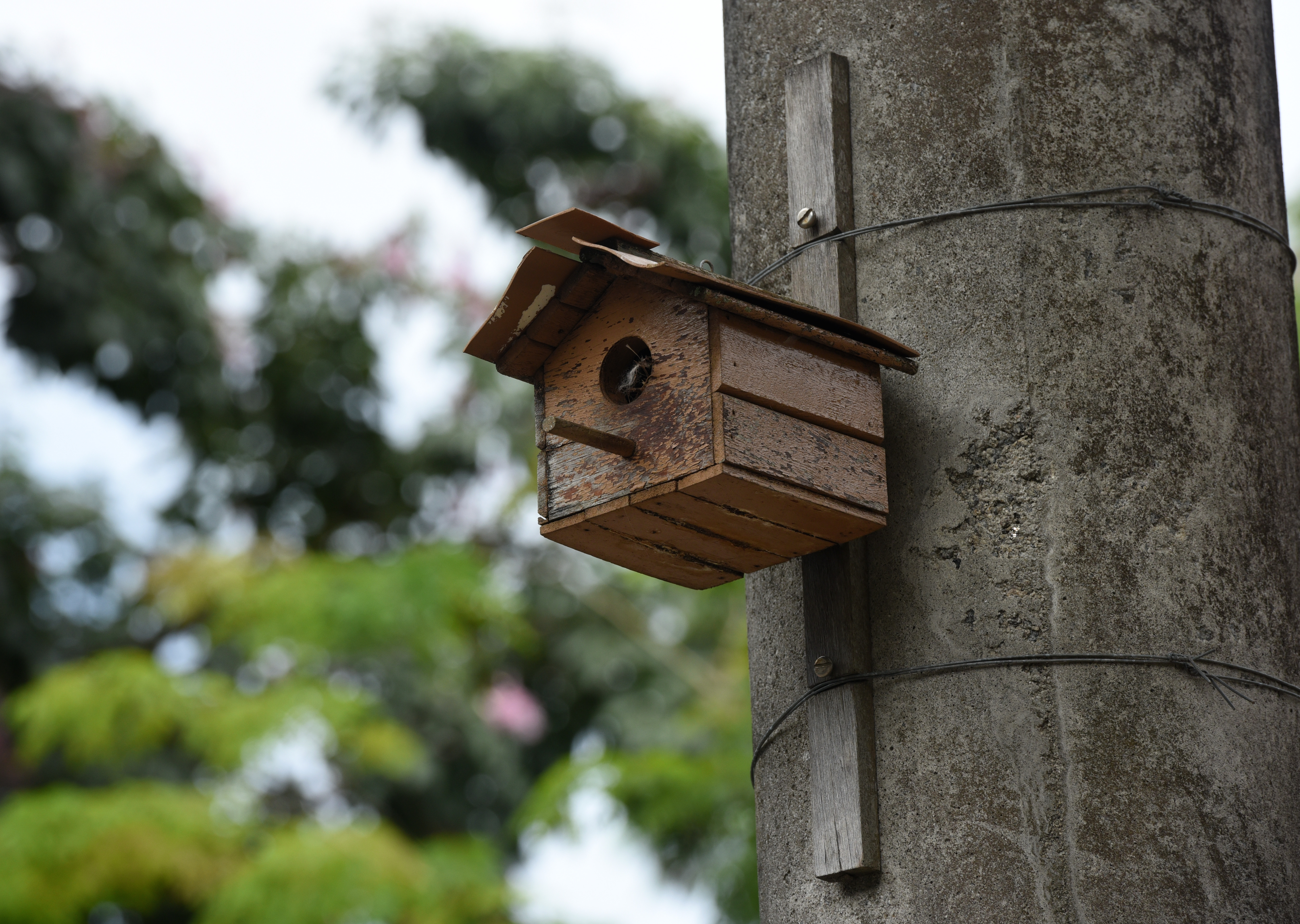 Cenas do bairro Fradinhos, Vitória