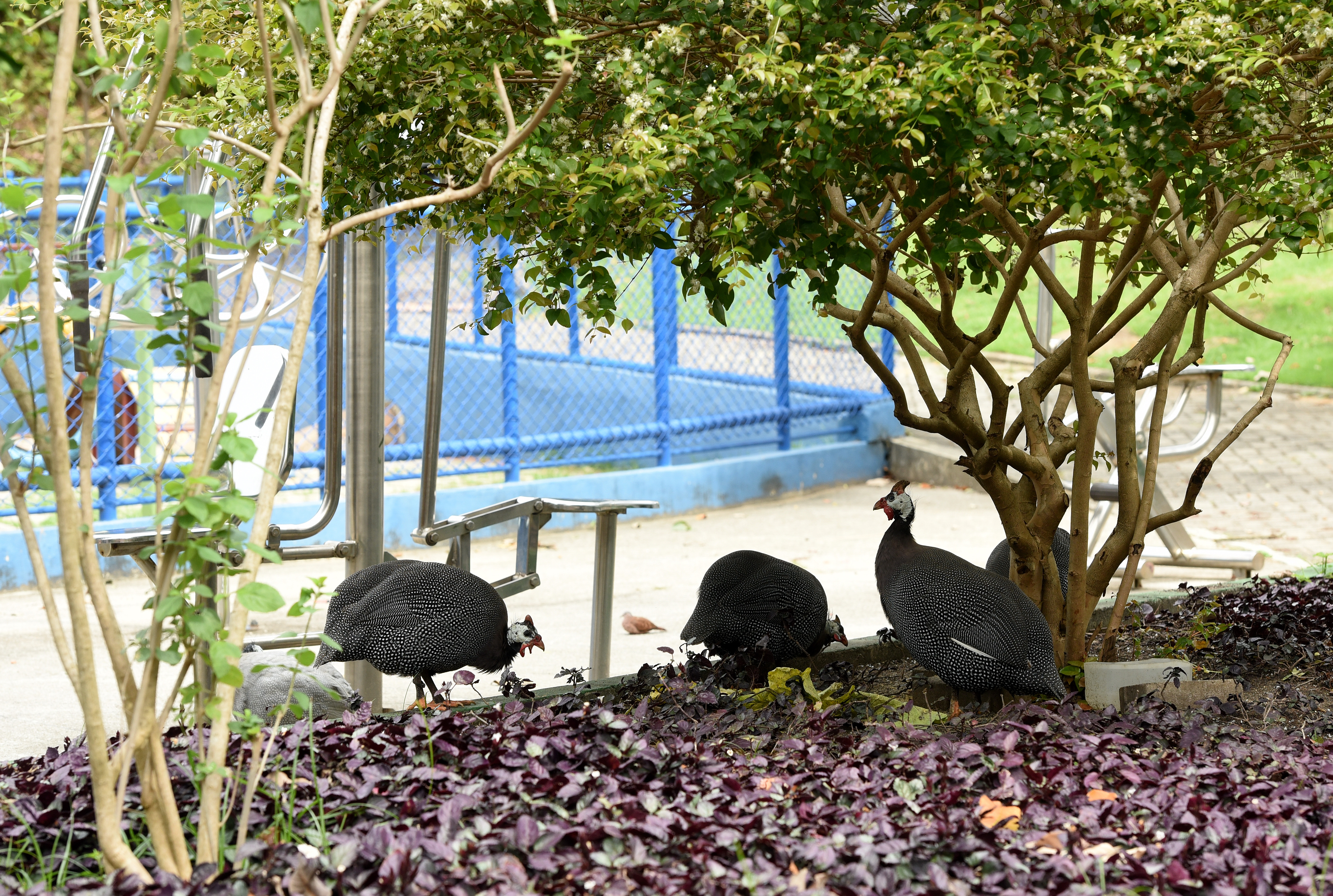Bairro Fradinhos - Vitória