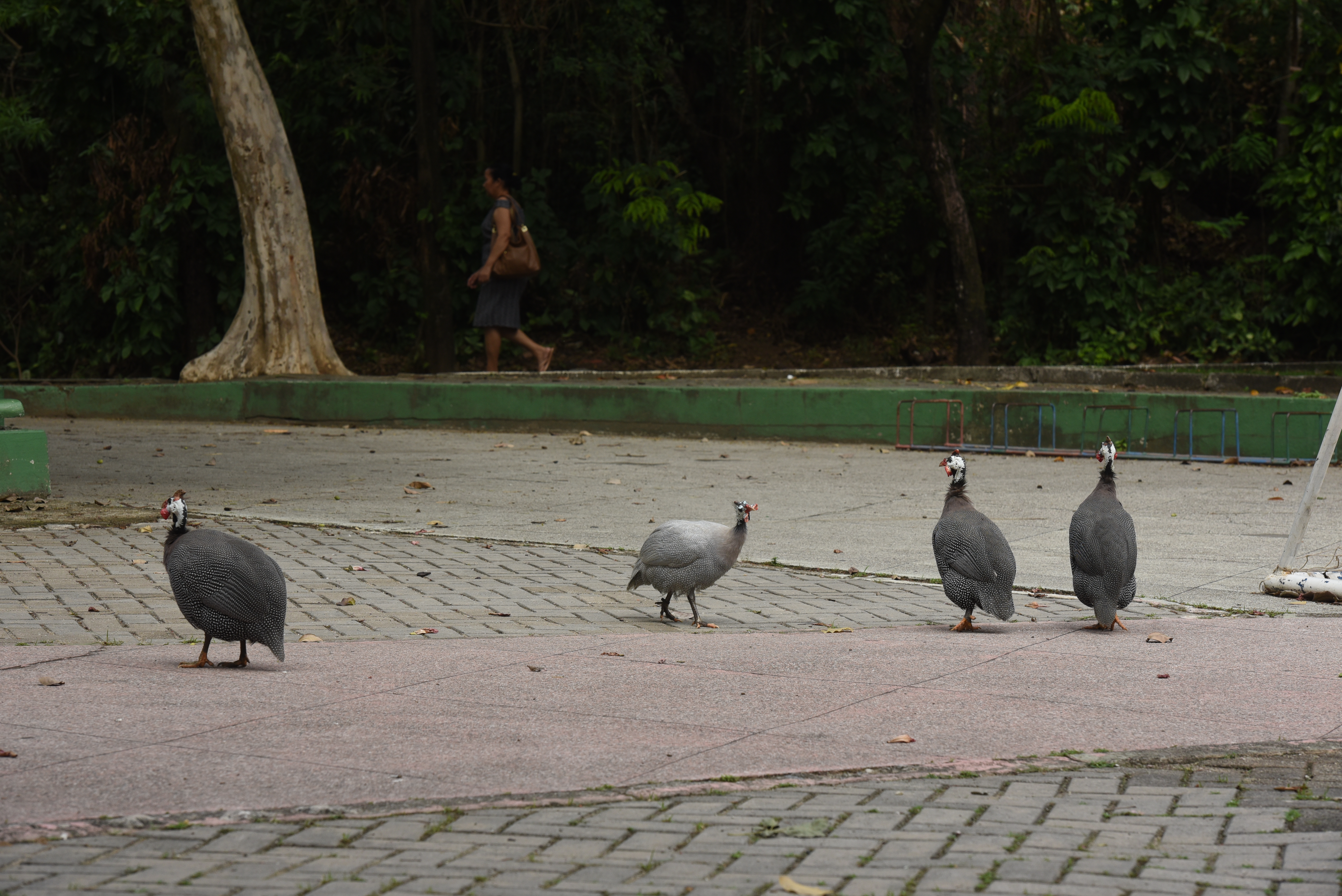 Bairro Fradinhos - Vitória