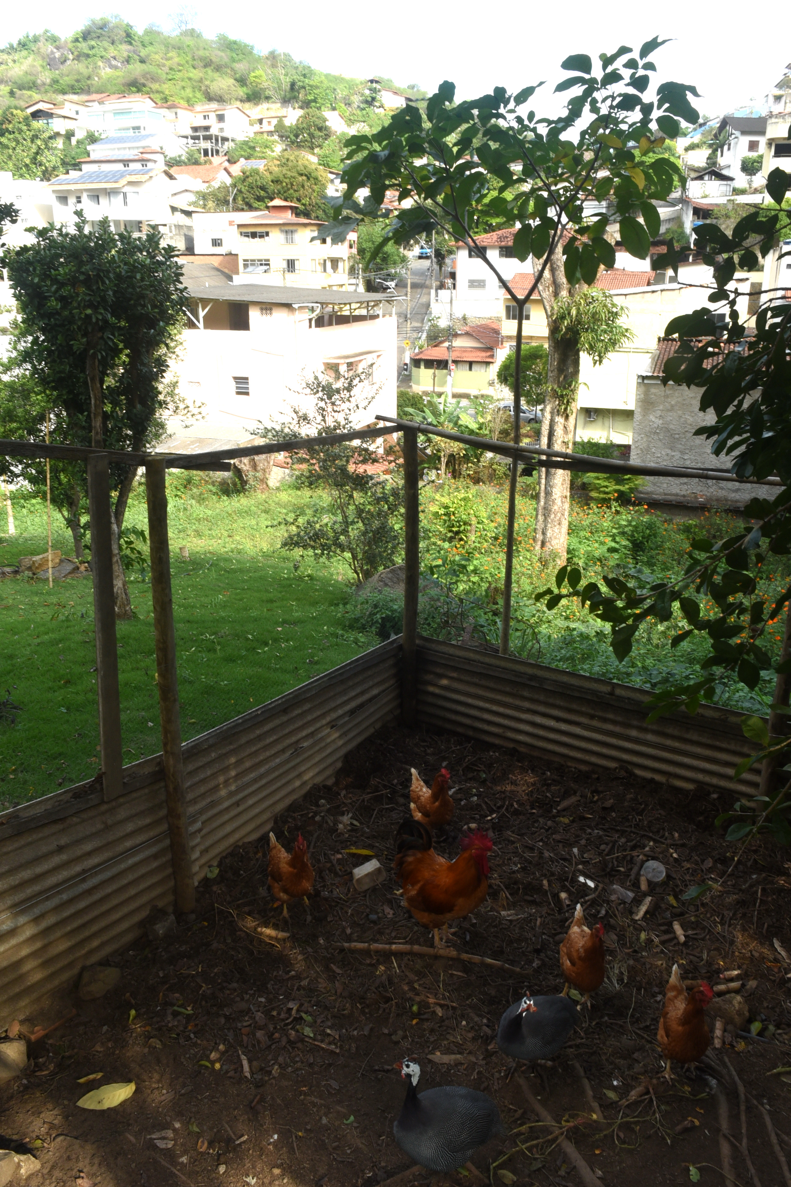 Bairro Fradinhos - Vitória