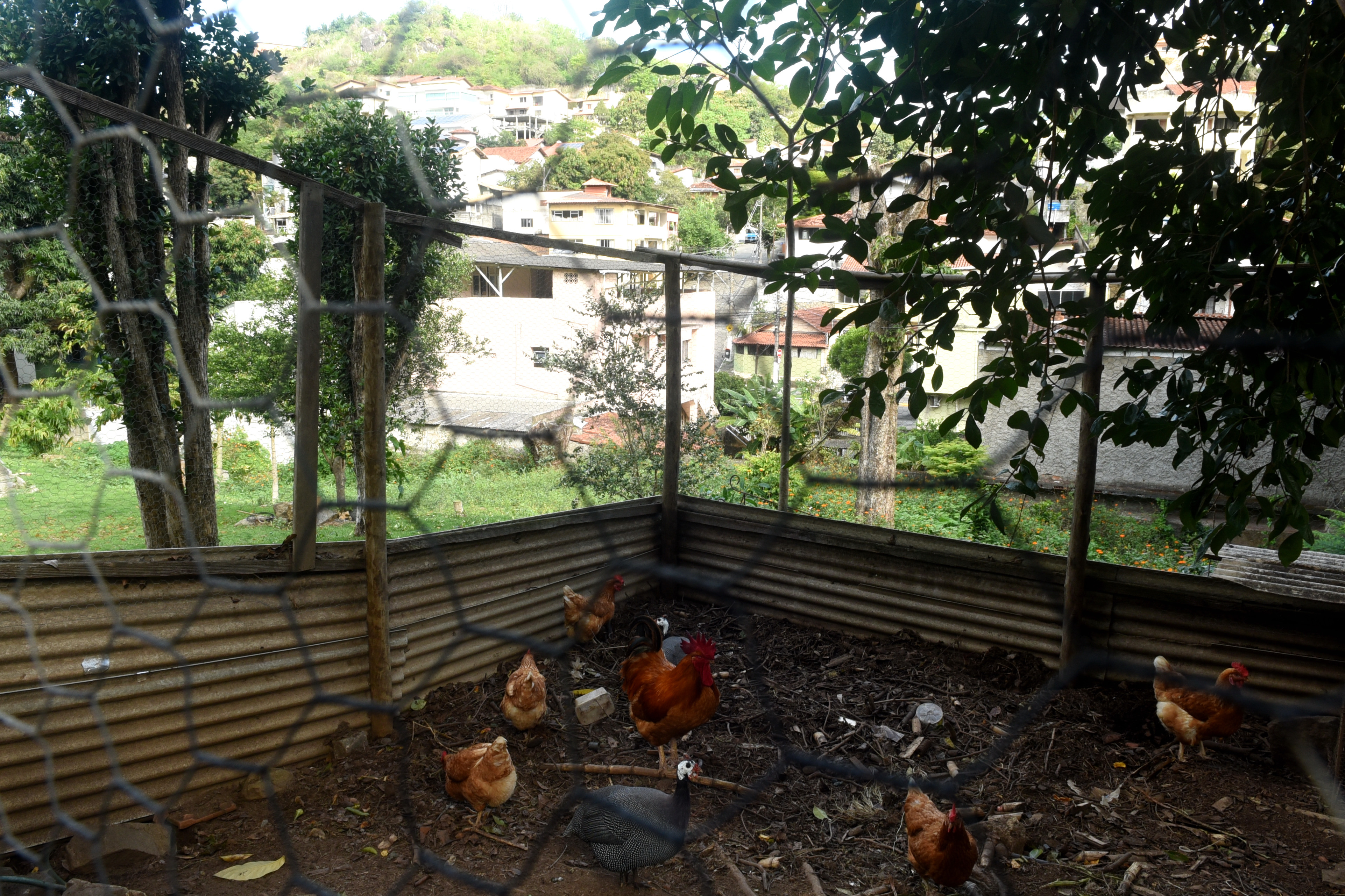 Bairro Fradinhos - Vitória