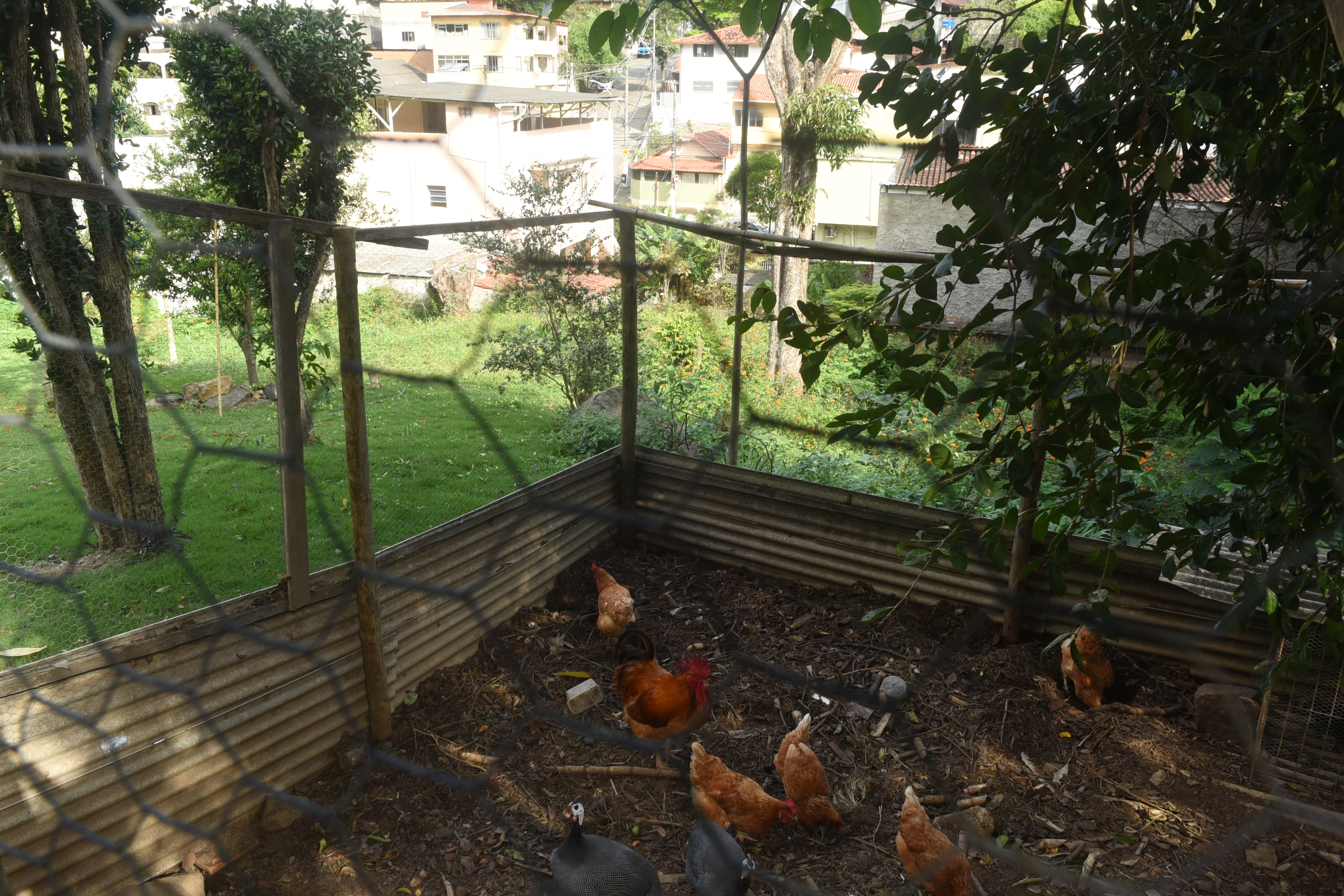 Bairro Fradinhos - Vitória