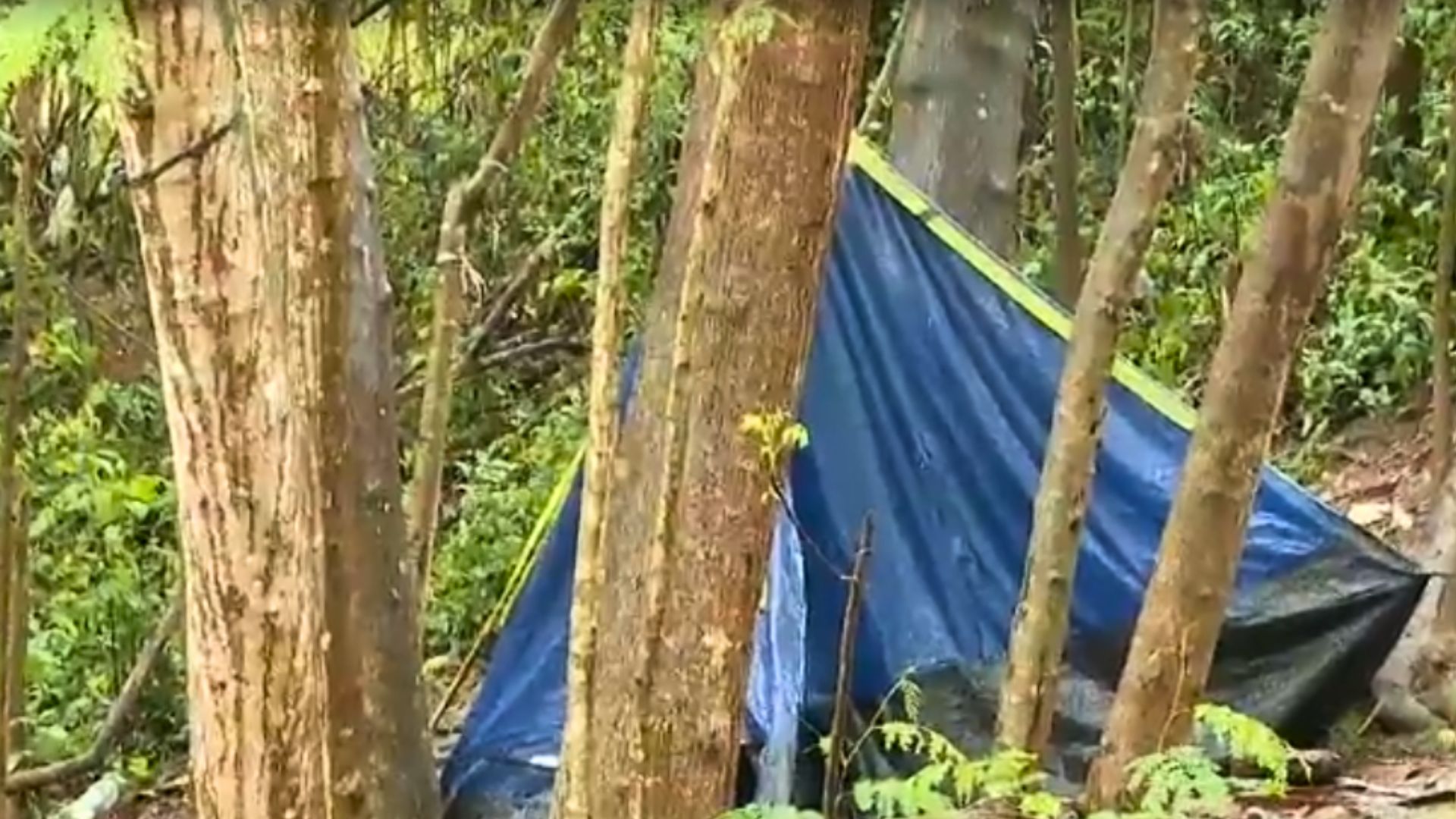 Moradores relatam que o trecho de mata em Colina de Laranjeiras é utilizado como abrigo por usuários de drogas