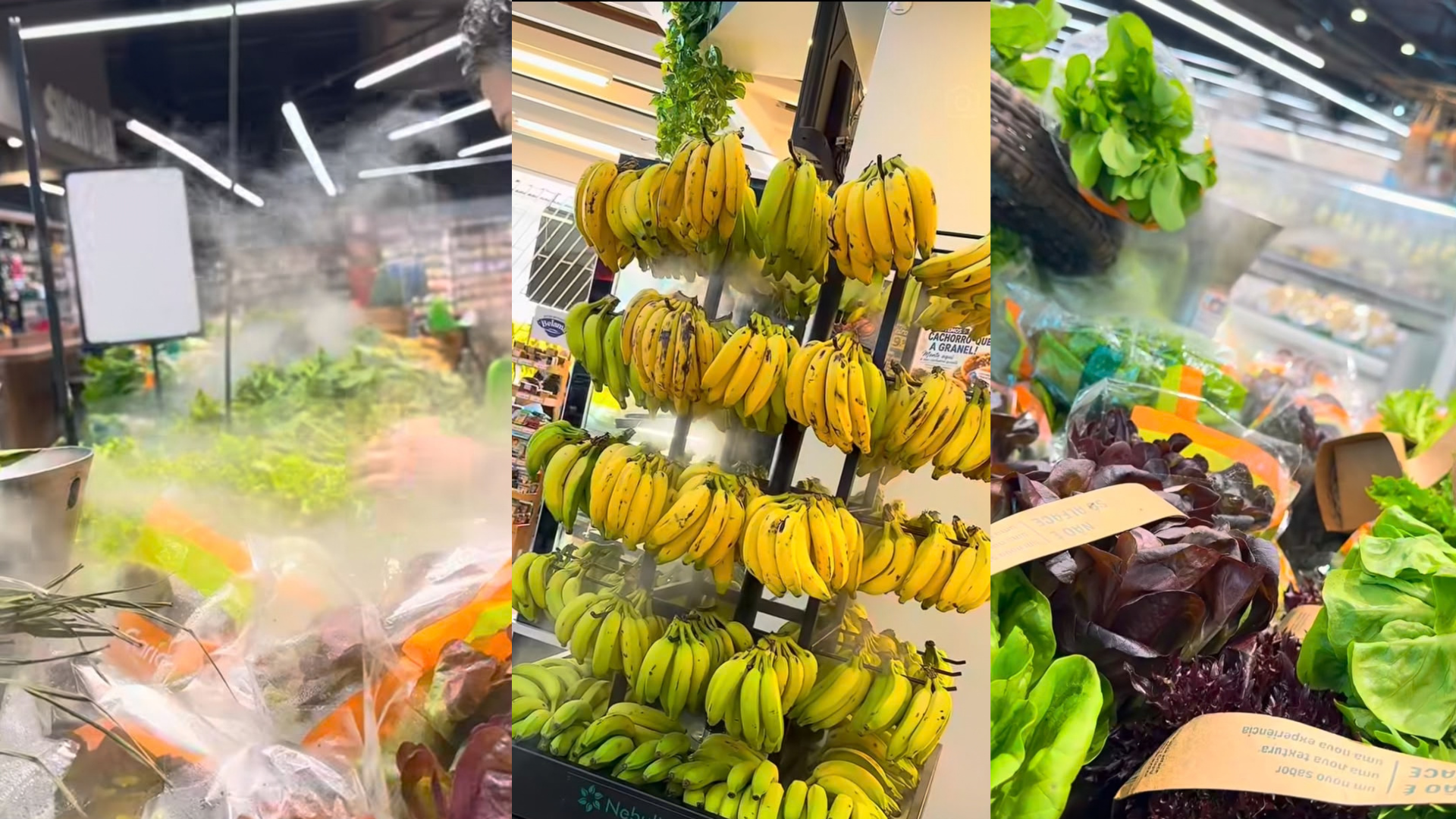JCM leve nebulizador para frutas e hortaliças para o Acaps Trade Show