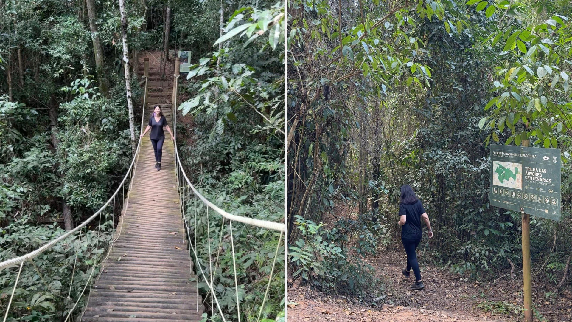 Flona de Pacotuba, em Cachoeiro de Itapemirim