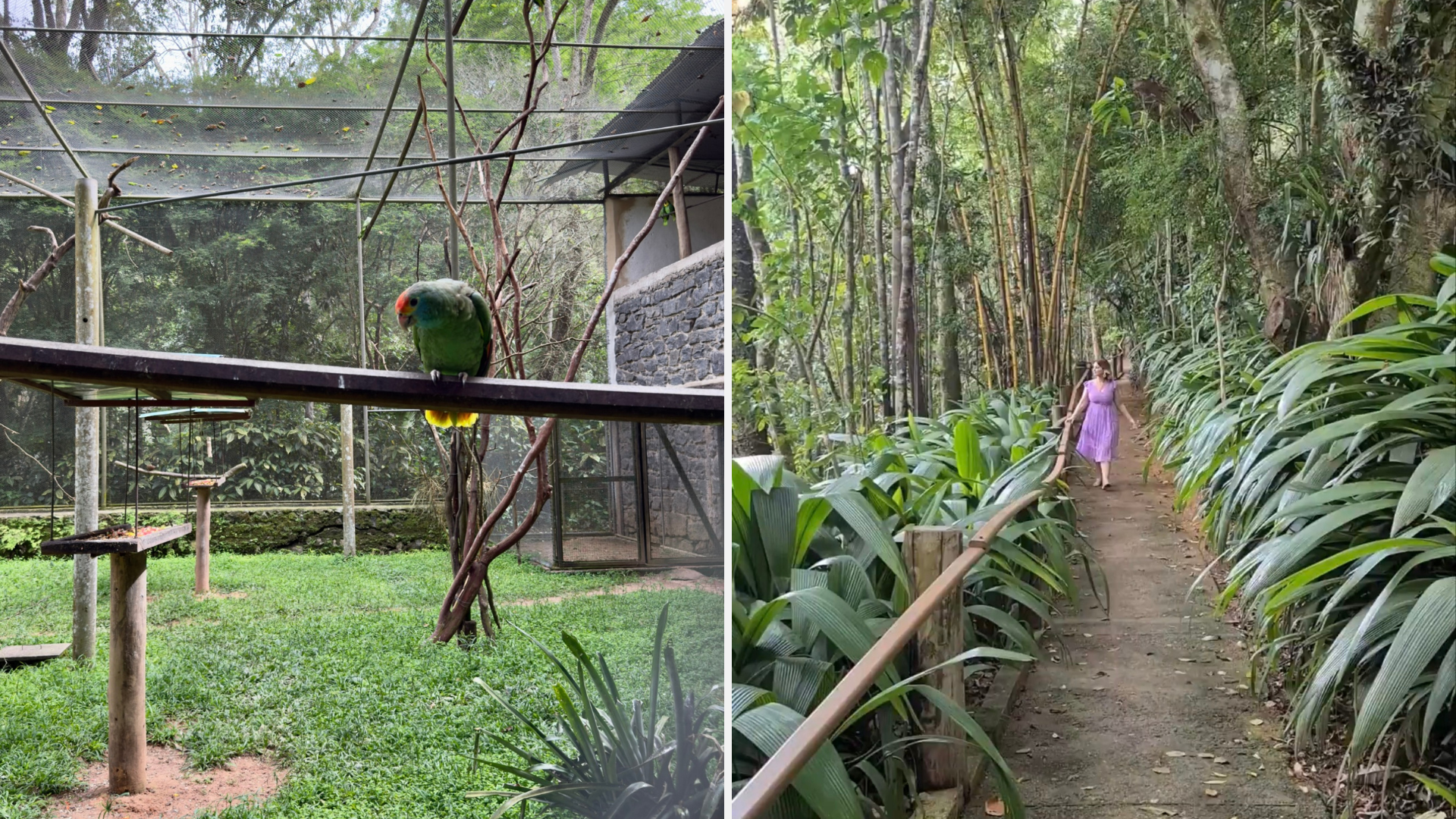 Museu de Biologia Professor Mello Leitão, em Santa Teresa