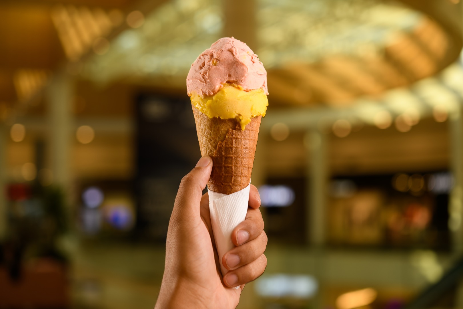 Combo Ice Roll no festival I Love Gelato, do Shopping Vitória
