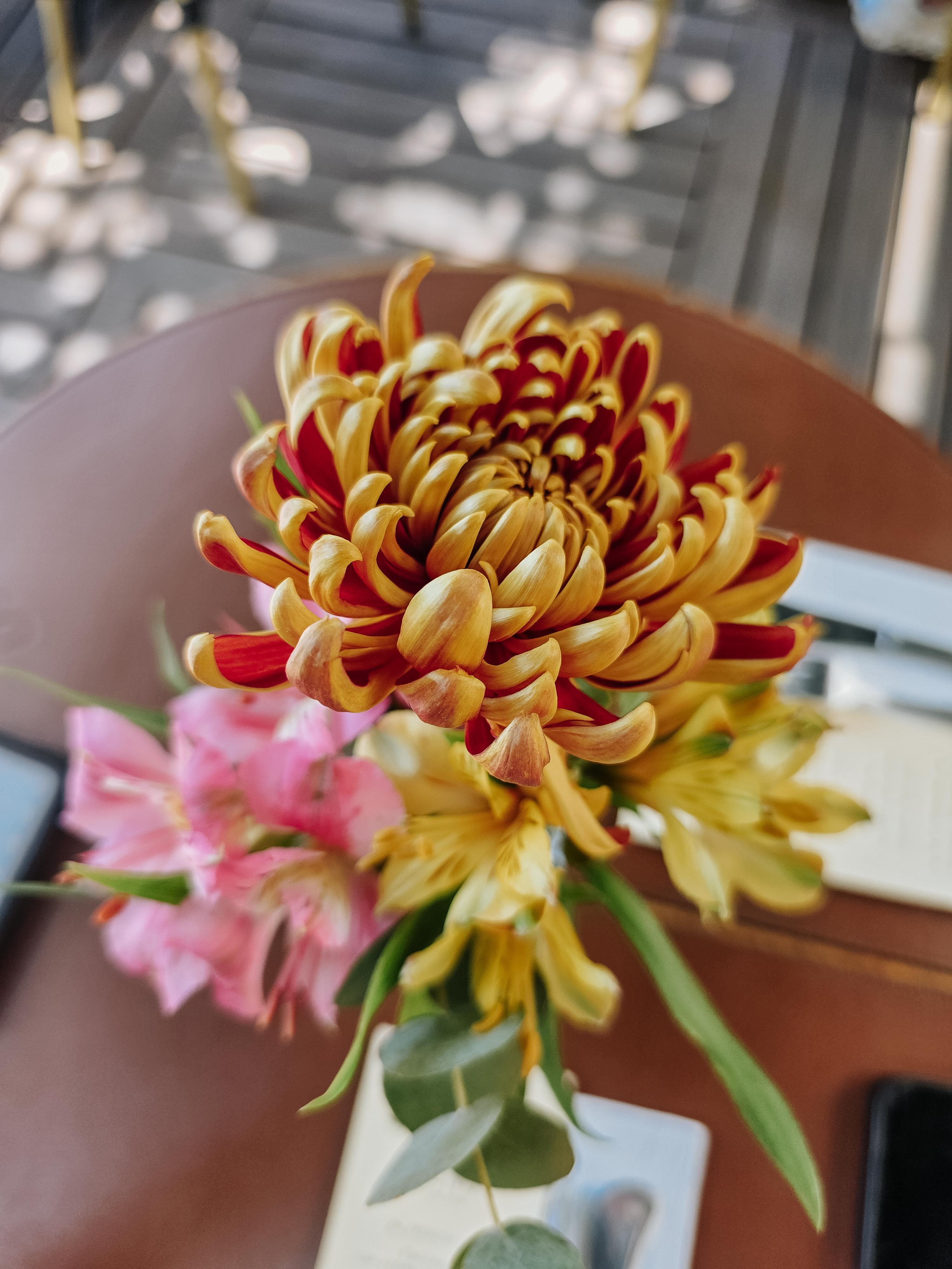 Primavera no Caçarola Bistrot