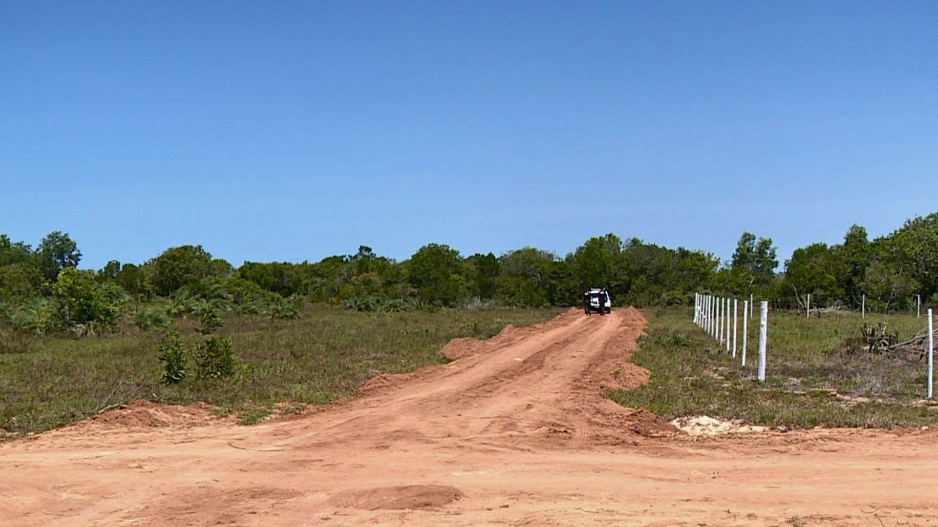 Área de mata onde corpo de Venilda Kuster Frisso foi encontrado em São Mateus