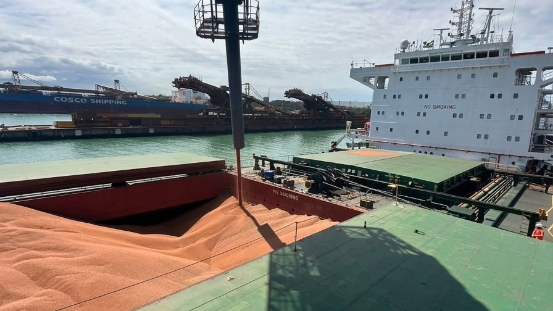 VLI inicia exportação de sorgo pelo ES com destino à China
