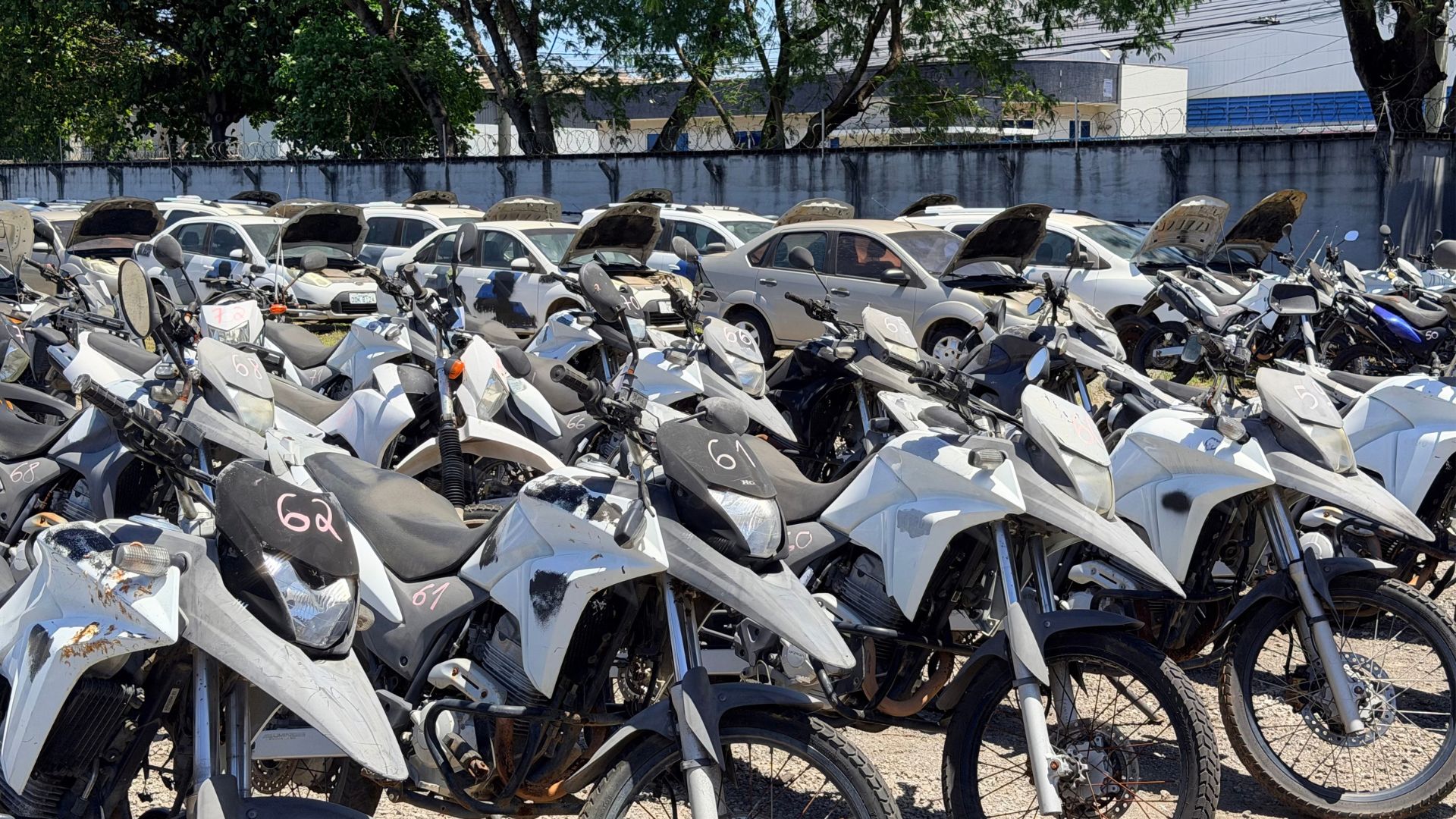 A PMES vai realizar um leilão on-line com 81 lotes de veículos, motocicletas e outros bens