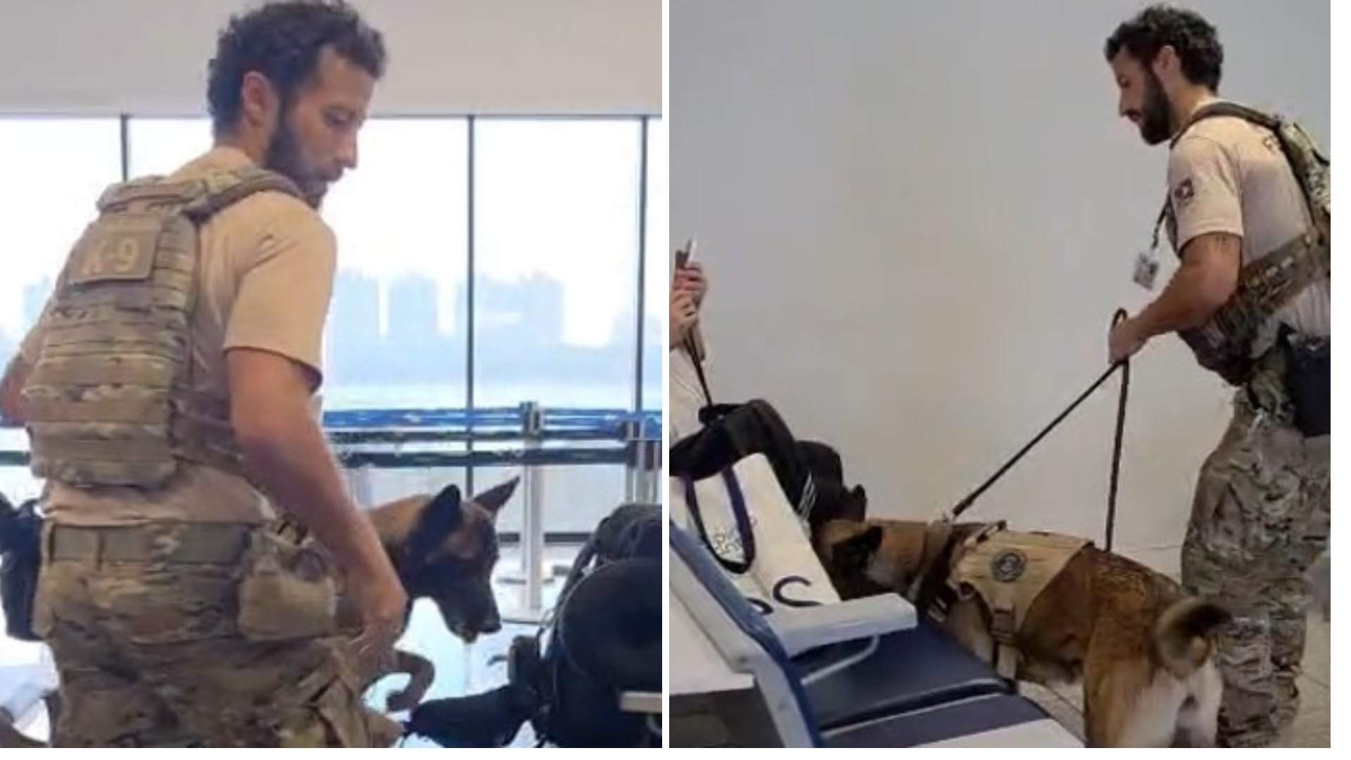 A cadela Puma atuou na área de embarque no Aeroporto de Vitória, reforçando a segurança da Polícia Federal antes do voo para Argentina