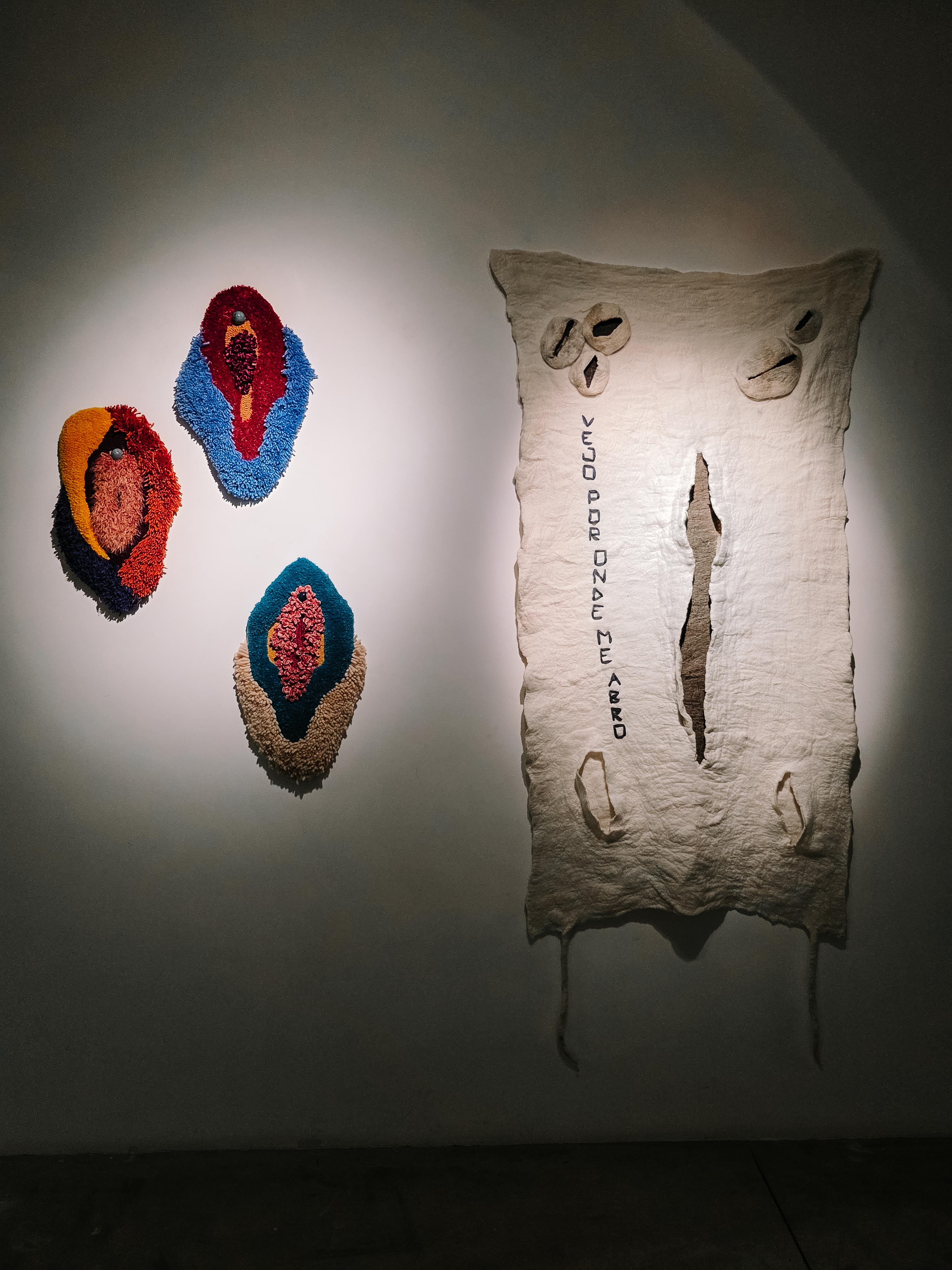 Exposição Peles Tecidas de Lorena Bruno