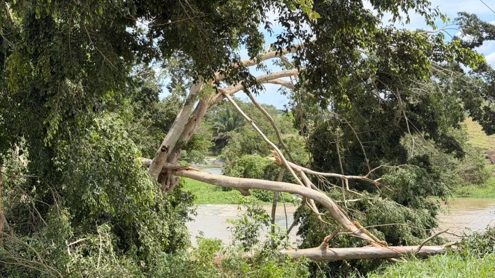 Temporal causa estragos em Rio Bananal