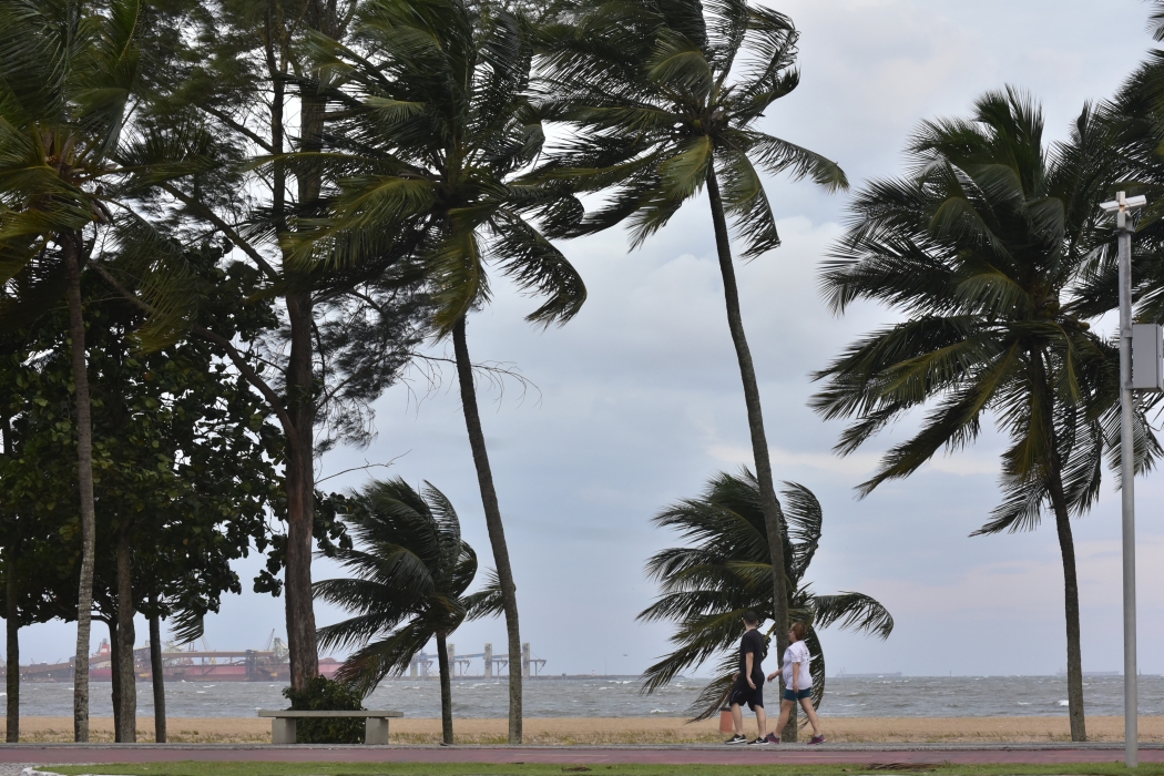 Espírito Santo em alerta: vendaval de até 60 km/h e baixa umidade nesta sexta (21) 2 Frente fria pode trazer ventos de até 60 km/h ao ES