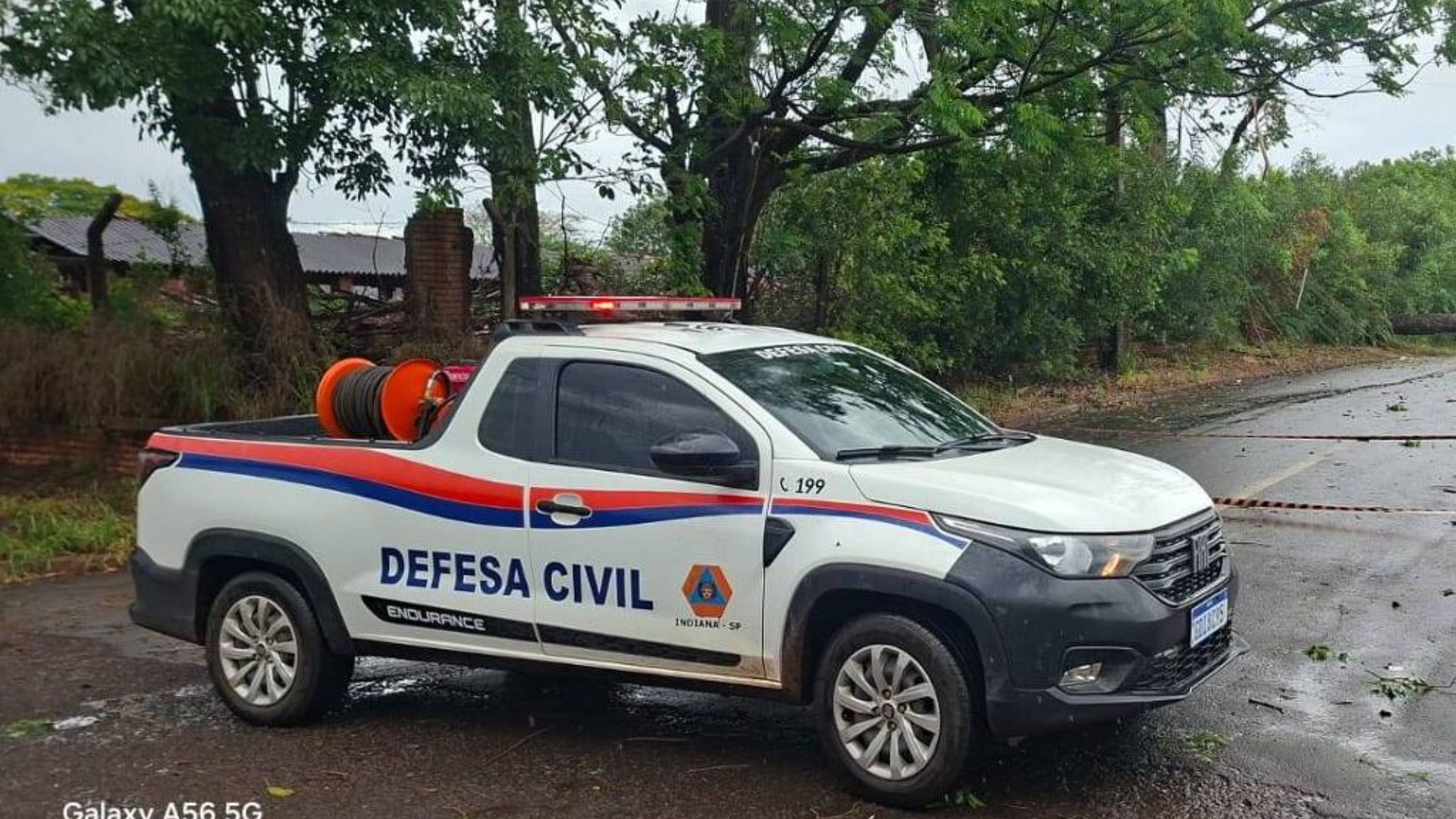 Defesa civil atua na queda de árvores em Paraguaçu Paulista, no interior de São Paulo