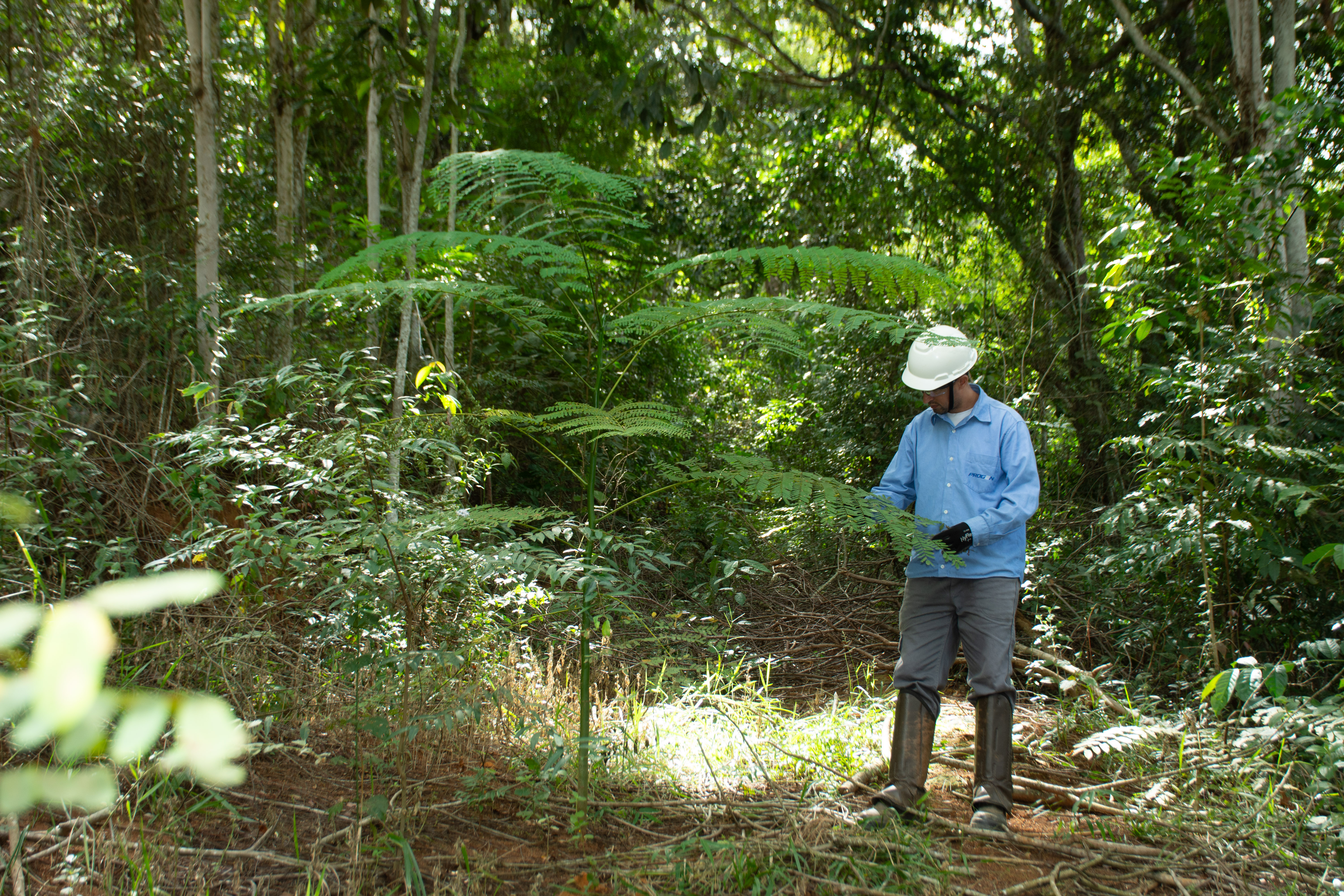 Até setembro de 2026, mais de 47,9 mil hectares e 4,6 mil nascentes já haviam sido cercados pela Samarco