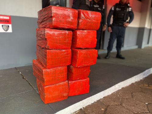 Guarda Municipal apreende mais de 240kg de maconha