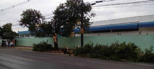 Imagem de destaque
