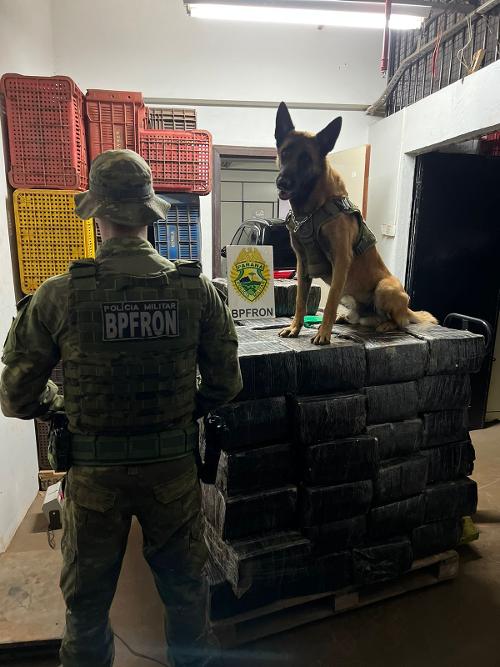 Imagem de destaque